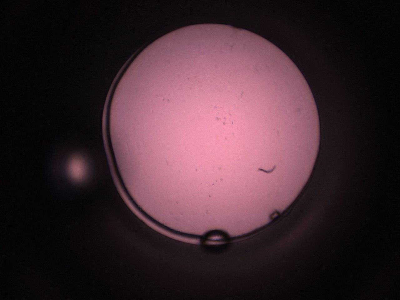 05i5_I9_ImagerDefaults_9.jpg