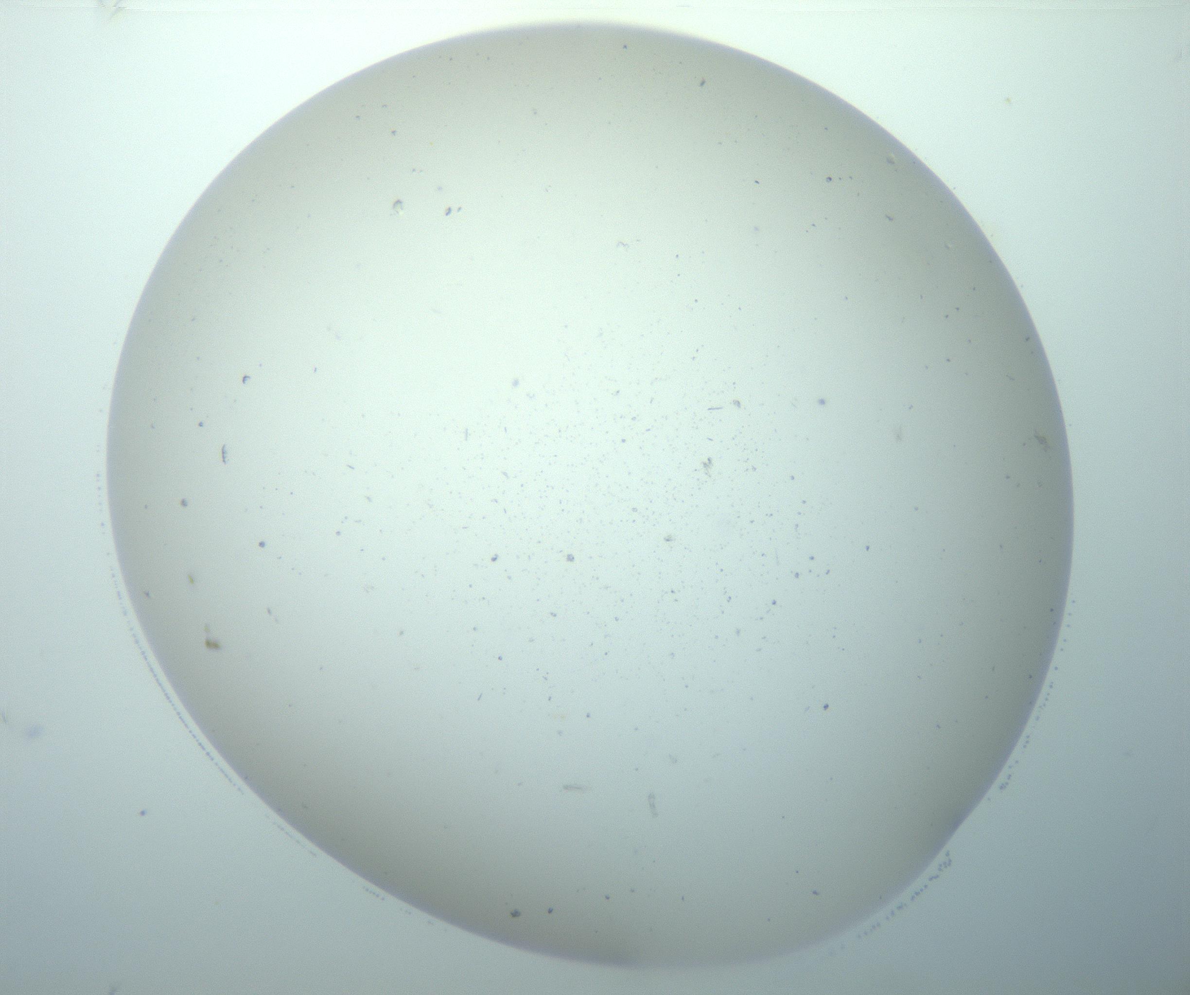 RI01_03_000_0212_Proj1_Clon1_MC_0000MC103193_007_170105_10_02_02_00_99_002_001_RAI.jpg
