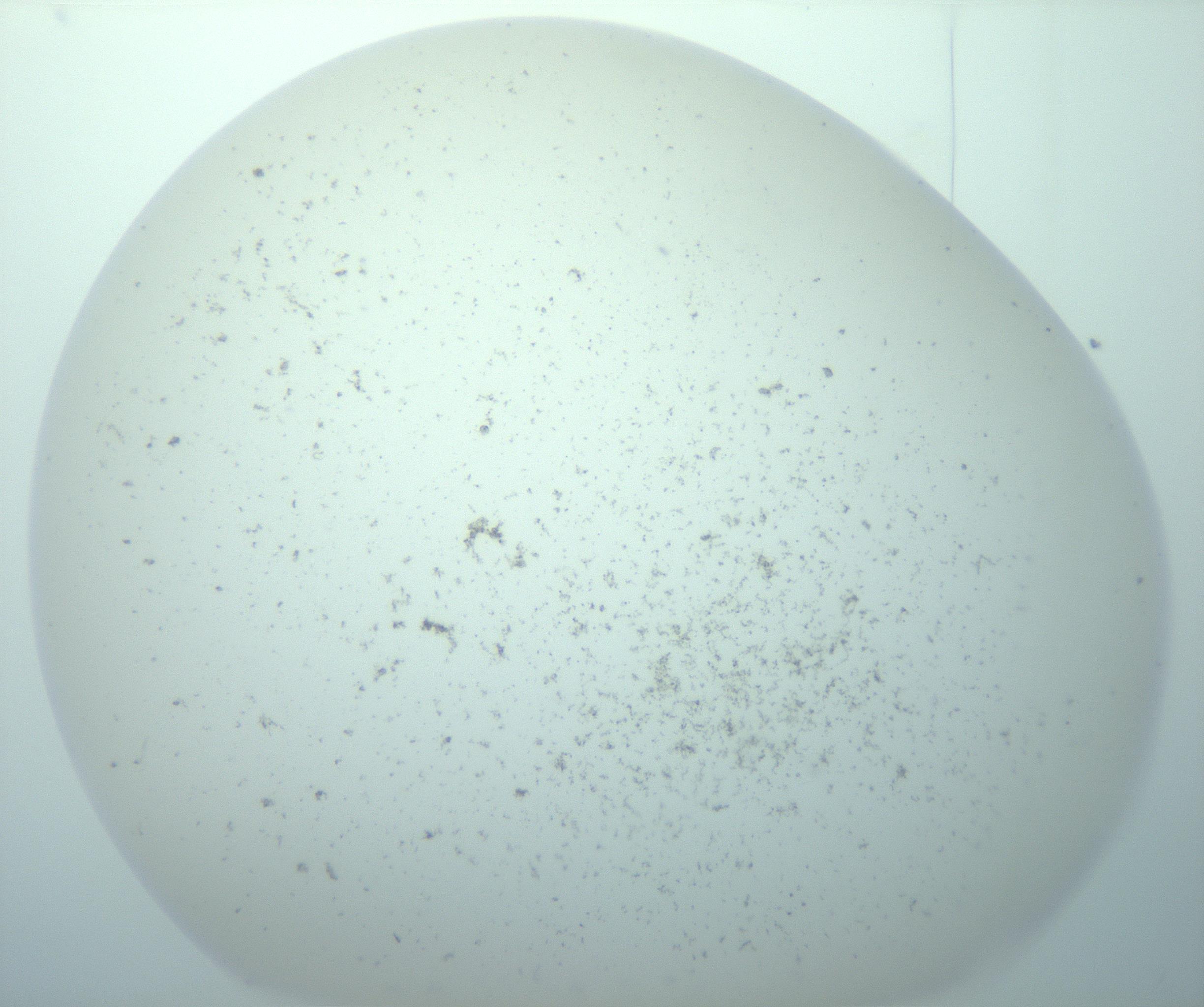 RI01_03_000_0212_Proj1_Clon1_MC_0000MC103195_010_170126_02_03_02_00_99_002_001_RAI.jpg