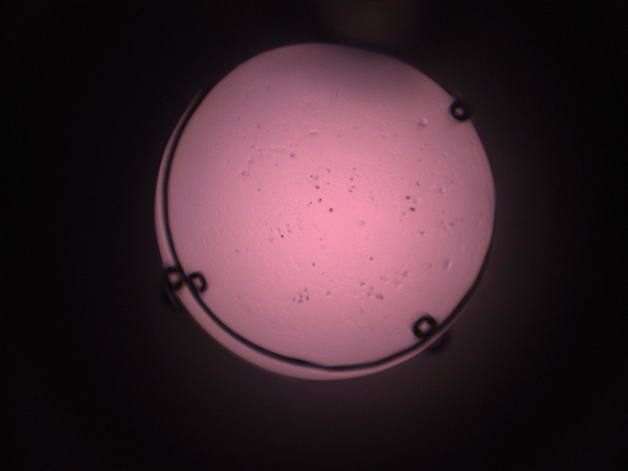 05i5_J7_ImagerDefaults_9.jpg