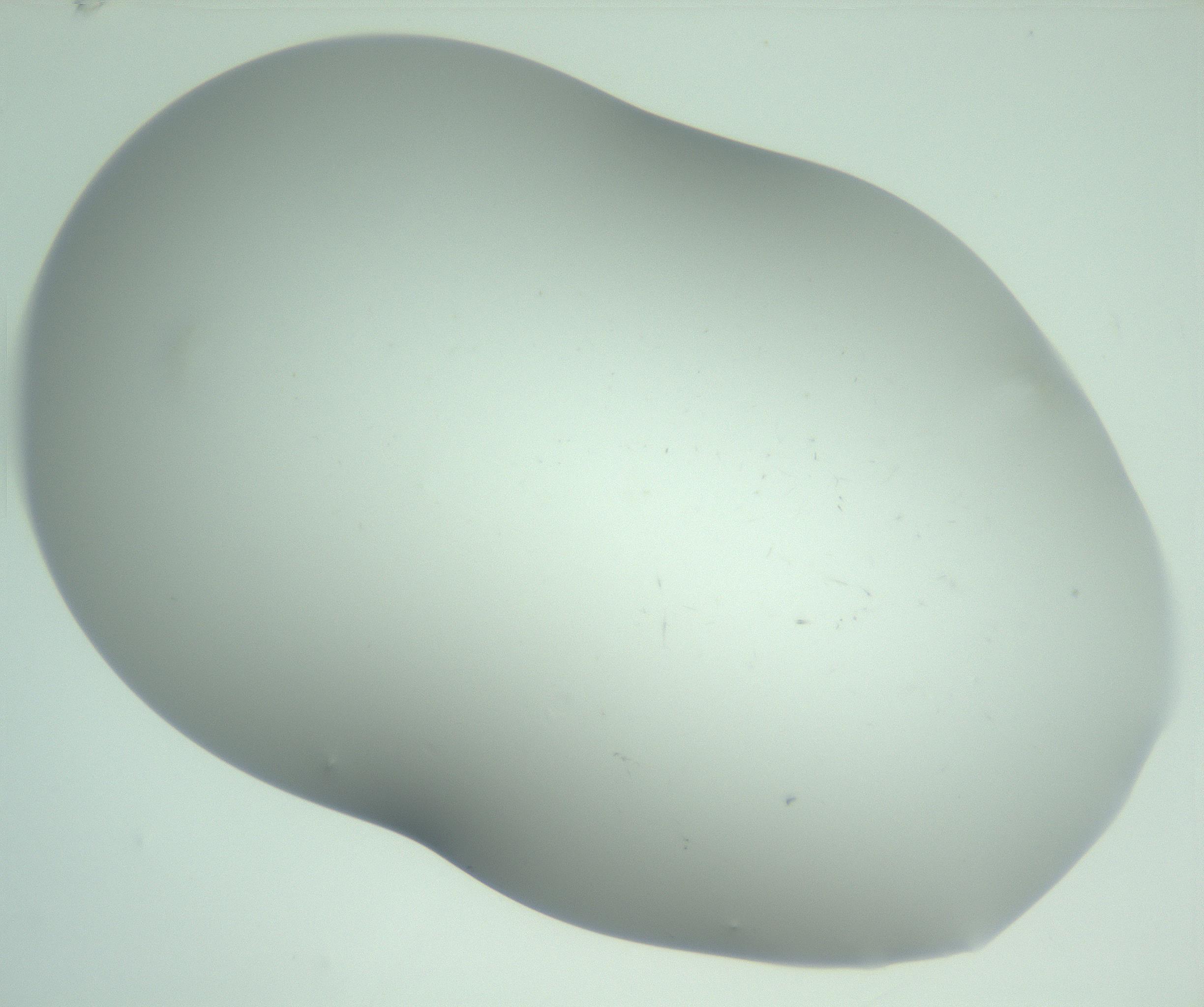 RI01_03_000_0212_Proj1_Clon1_MC_0000MC103220_002_170125_01_03_02_00_99_002_001_RAI.jpg