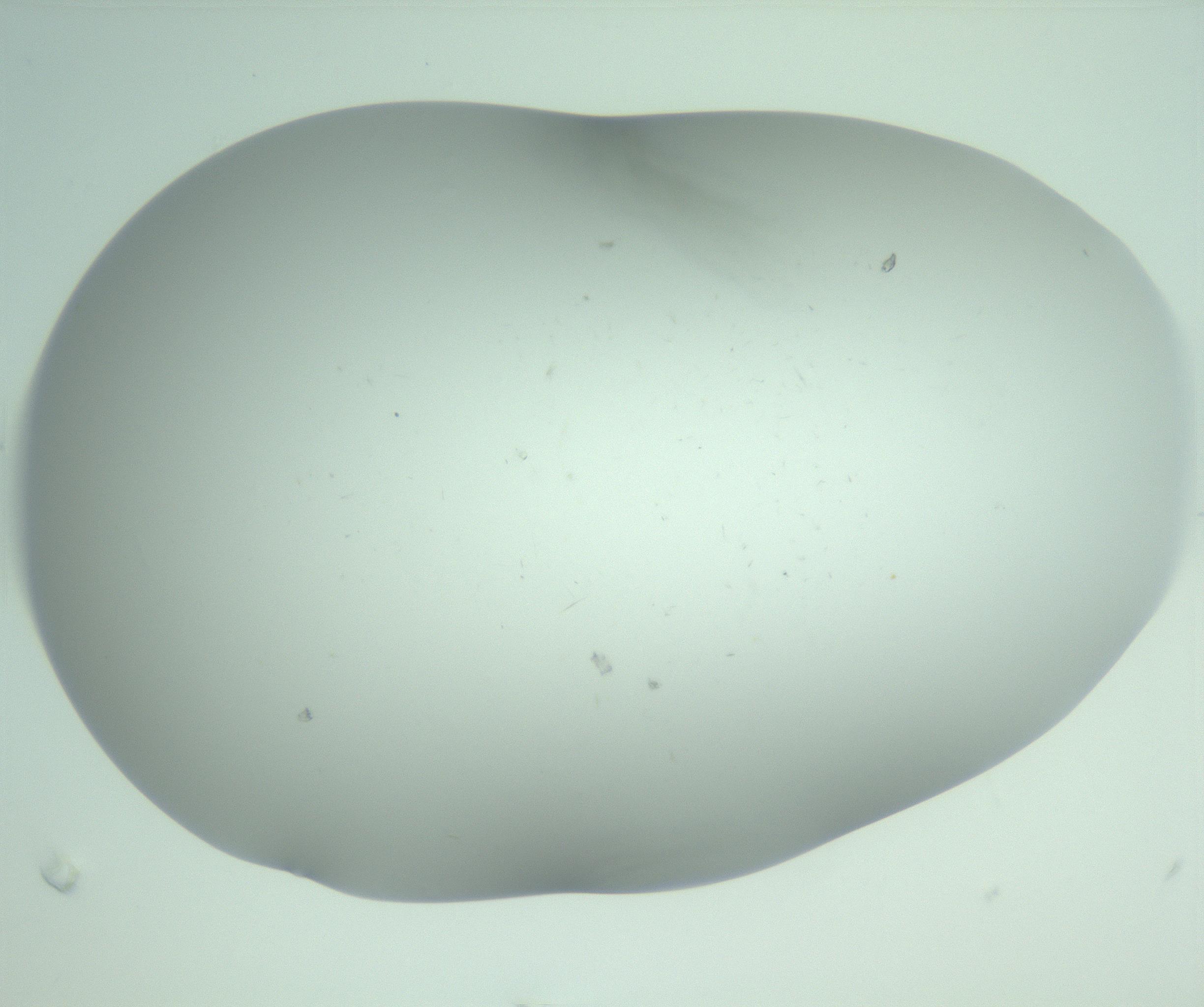 RI01_03_000_0212_Proj1_Clon1_MC_0000MC103220_002_170125_01_08_02_00_99_002_001_RAI.jpg