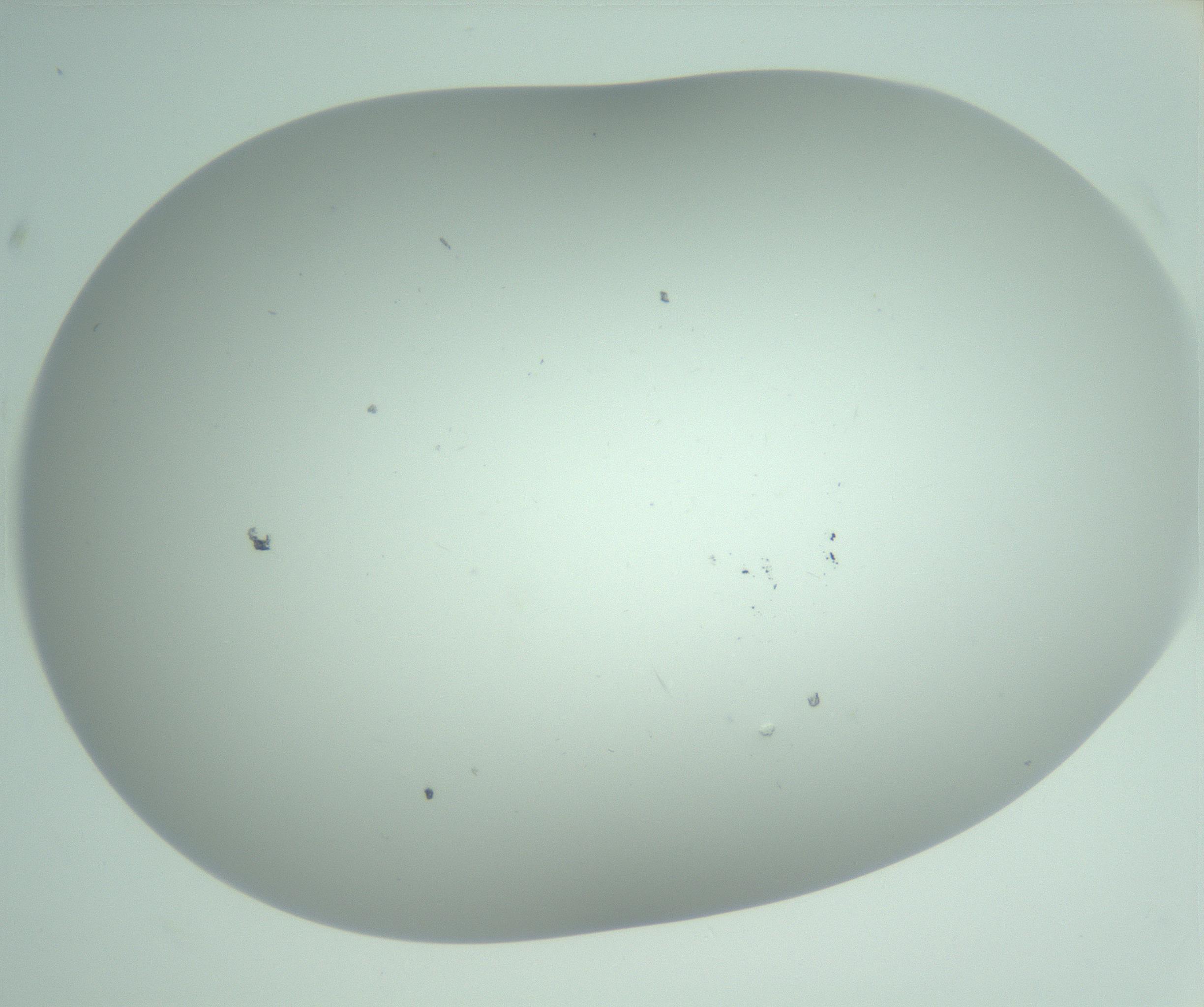 RI01_03_000_0212_Proj1_Clon1_MC_0000MC103220_002_170125_02_07_02_00_99_002_001_RAI.jpg