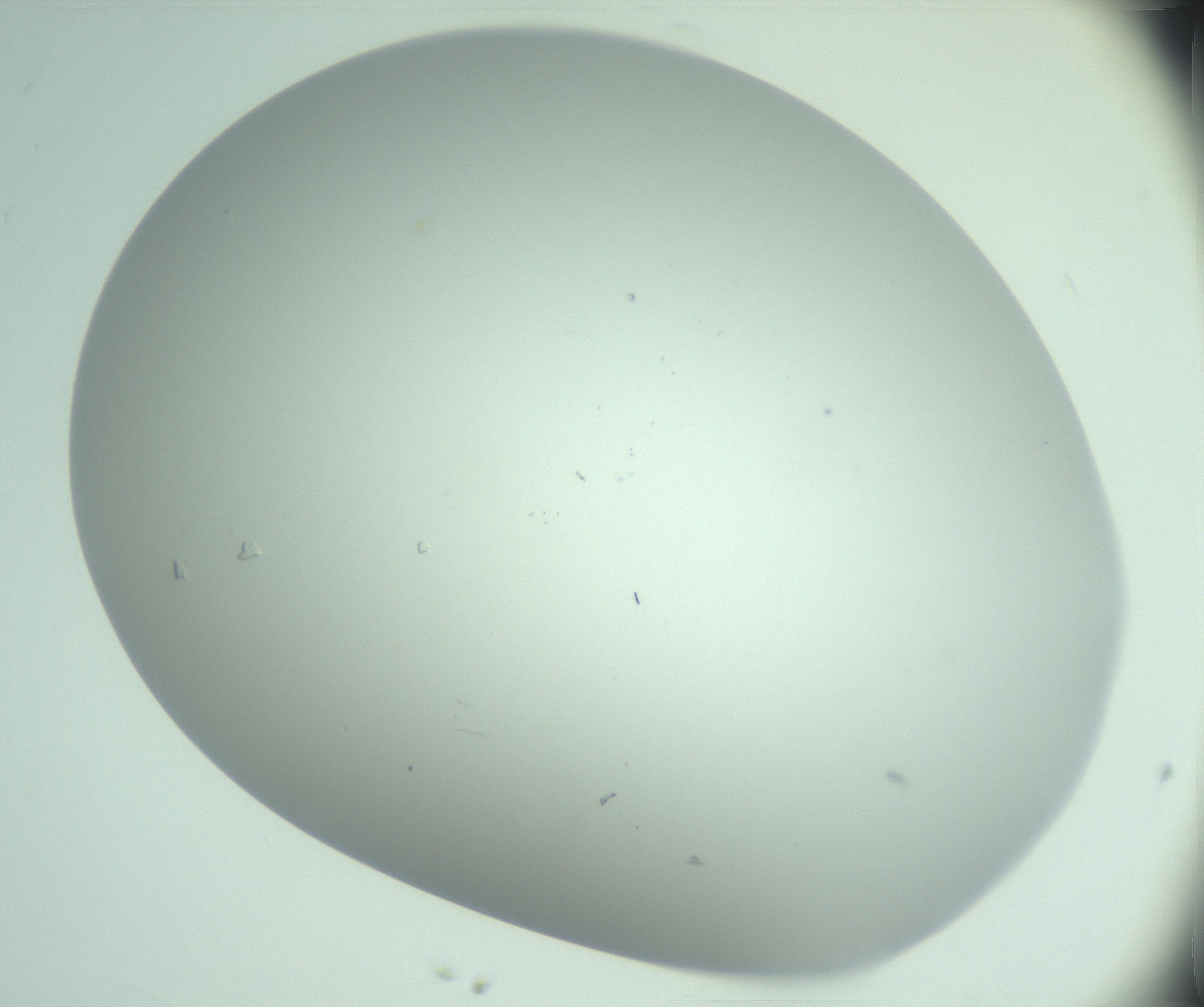 RI01_03_000_0212_Proj1_Clon1_MC_0000MC103220_002_170125_03_04_02_00_99_002_001_RAI.jpg