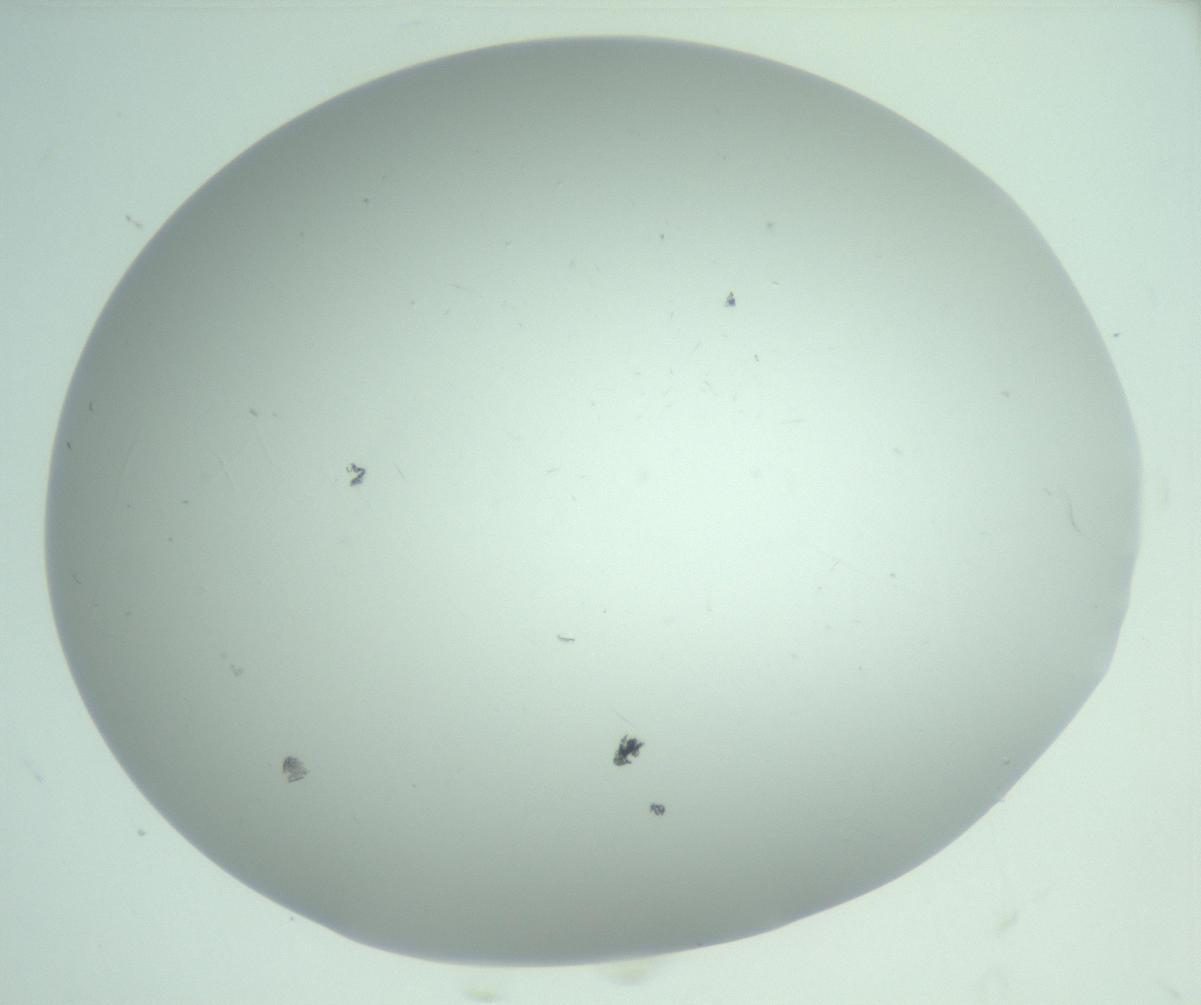 RI01_03_000_0212_Proj1_Clon1_MC_0000MC103220_002_170125_03_08_02_00_99_002_001_RAI.jpg