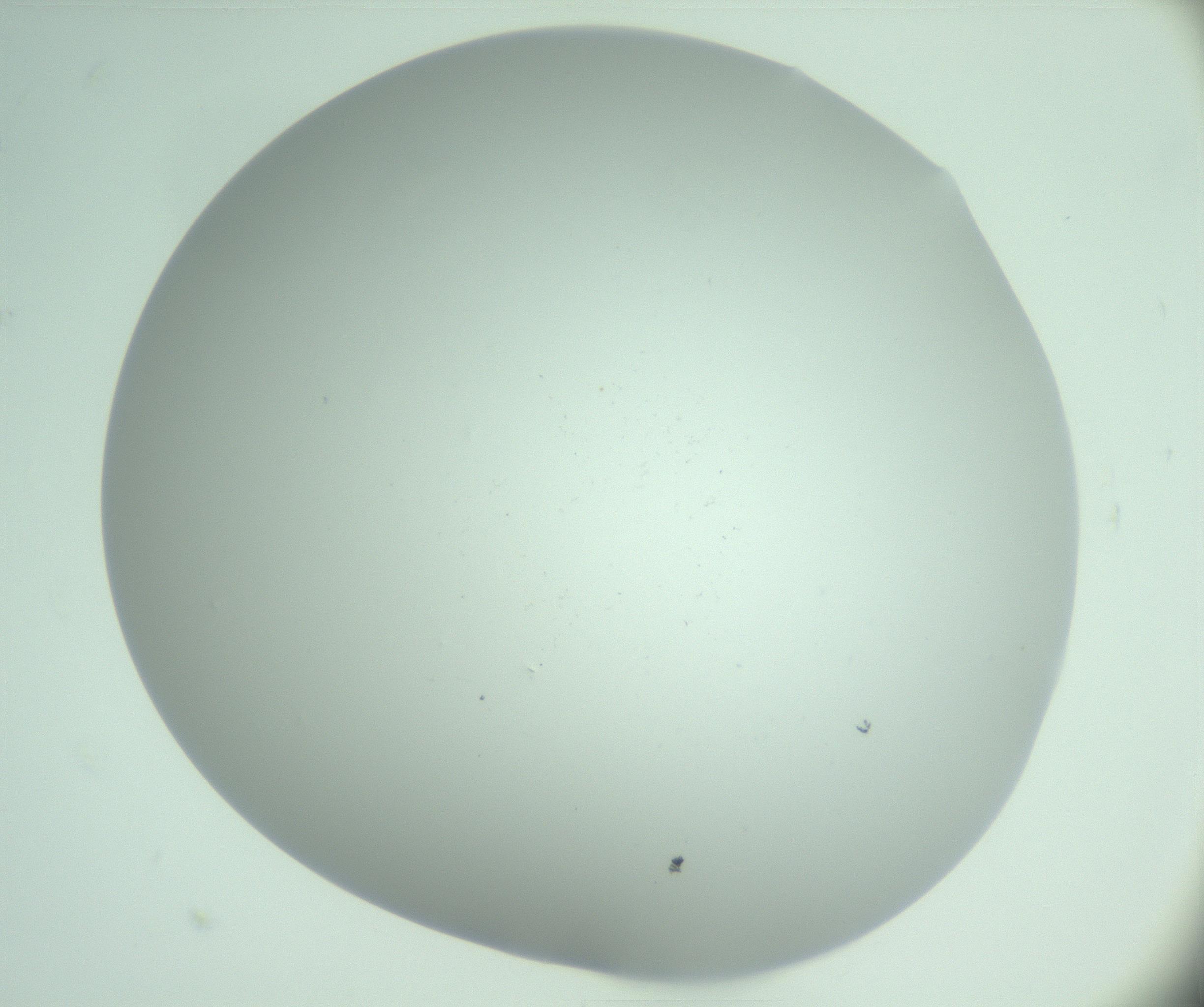 RI01_03_000_0212_Proj1_Clon1_MC_0000MC103220_002_170125_05_01_02_00_99_002_001_RAI.jpg
