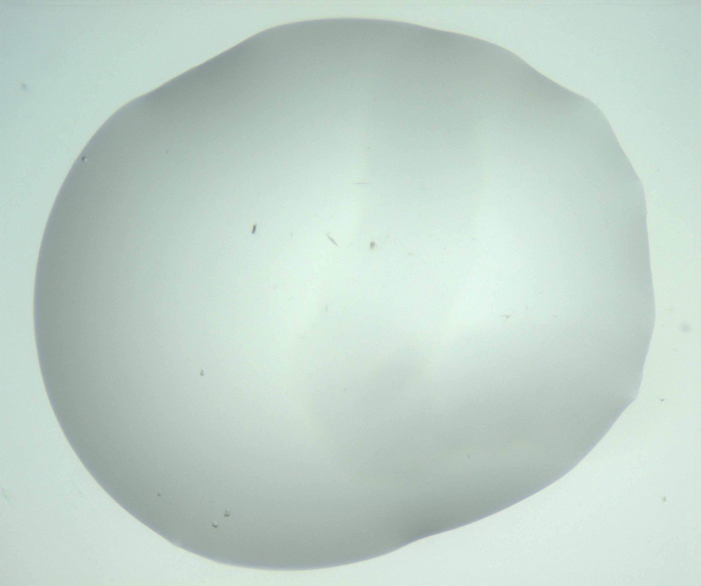 RI01_03_000_0212_Proj1_Clon1_MC_0000MC103220_002_170125_06_07_02_00_99_002_001_RAI.jpg