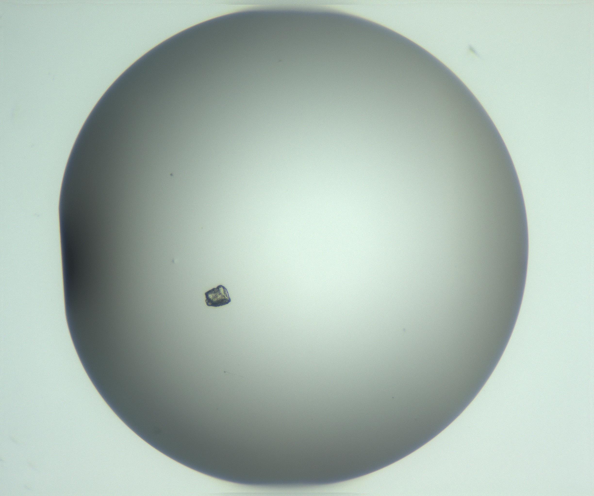 RI01_03_000_0212_Proj1_Clon1_MC_0000MC103220_002_170125_07_04_01_00_99_002_001_RAI.jpg