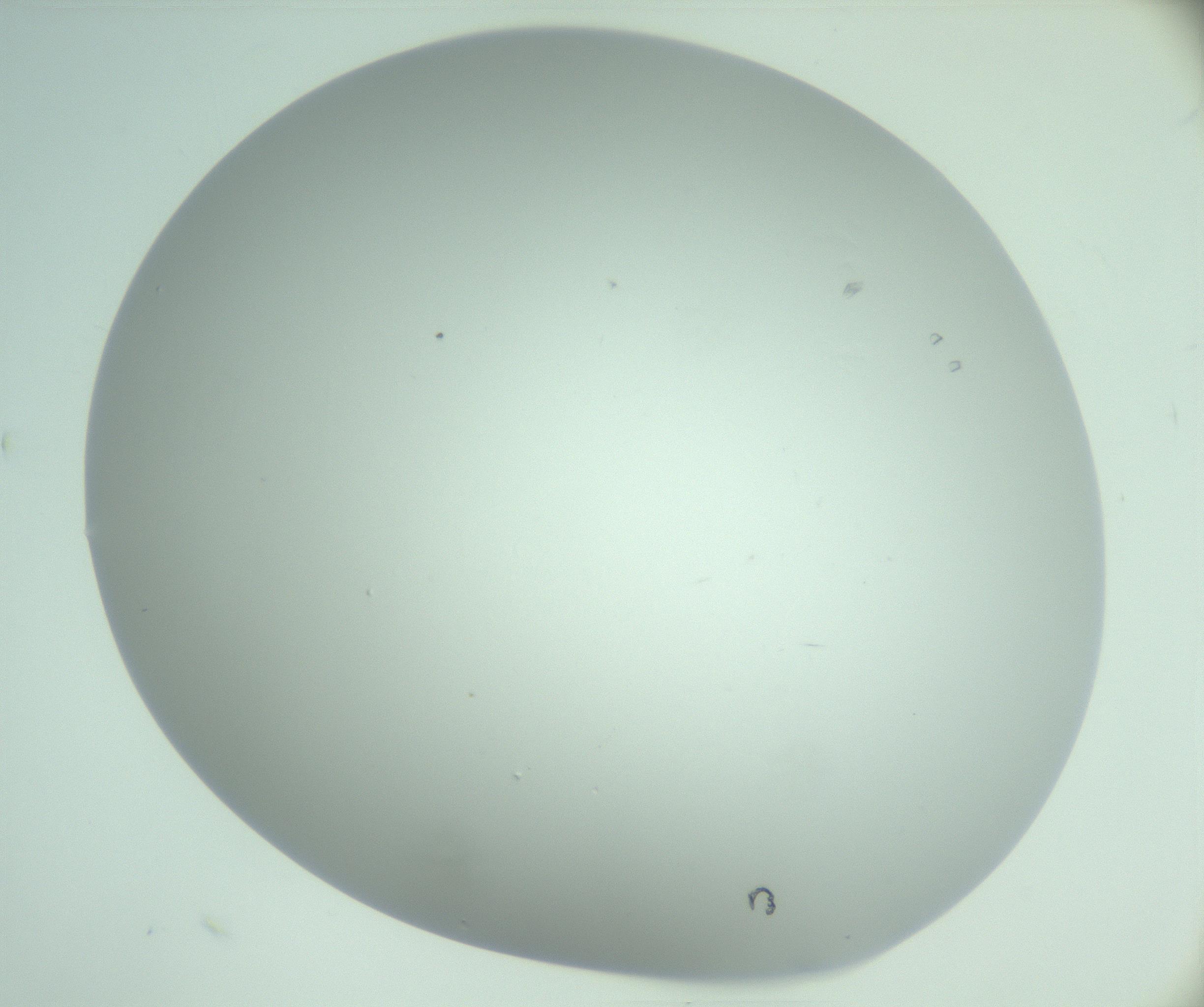 RI01_03_000_0212_Proj1_Clon1_MC_0000MC103220_002_170125_08_04_02_00_99_002_001_RAI.jpg