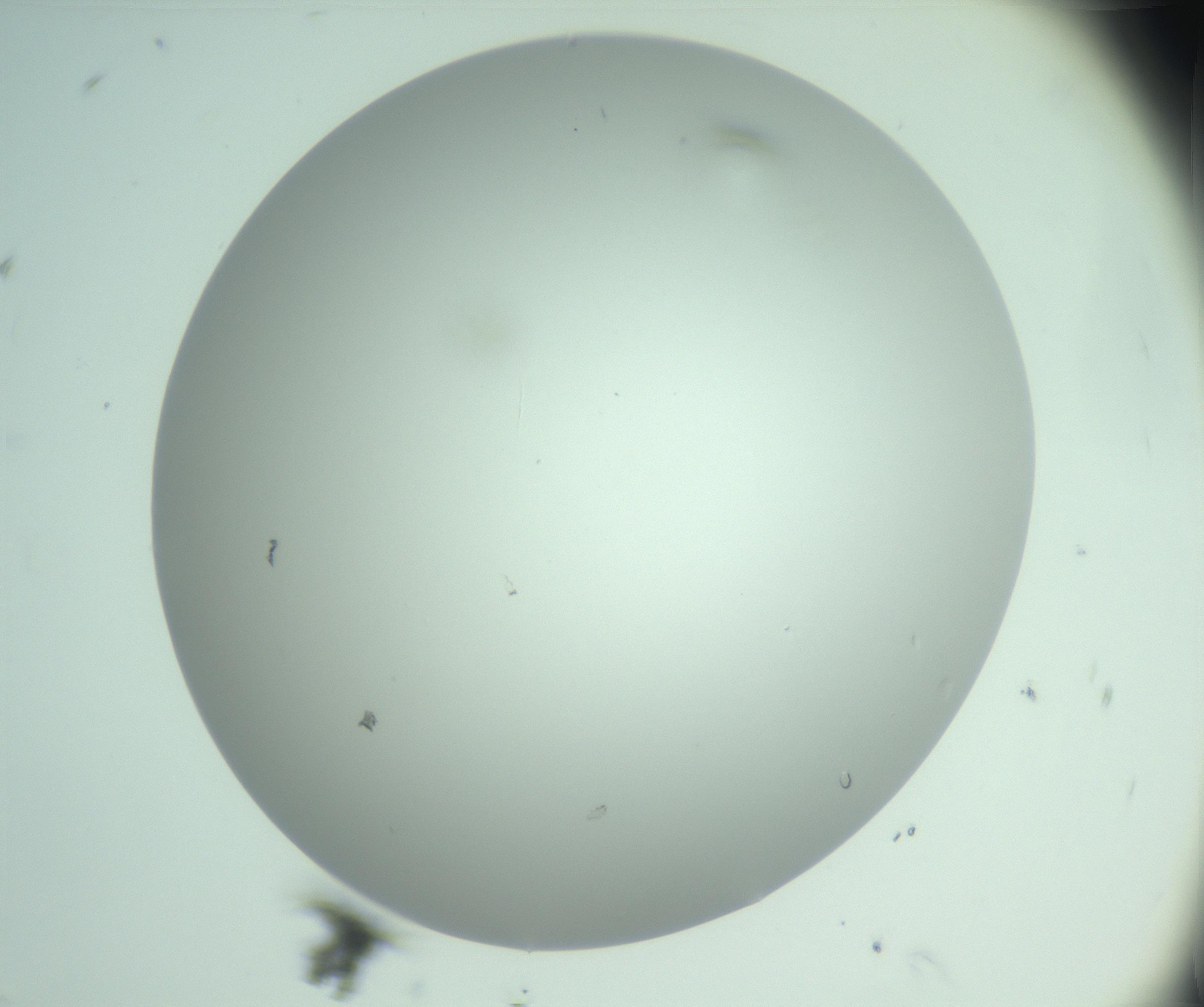 RI01_03_000_0212_Proj1_Clon1_MC_0000MC103220_002_170125_08_07_01_00_99_002_001_RAI.jpg