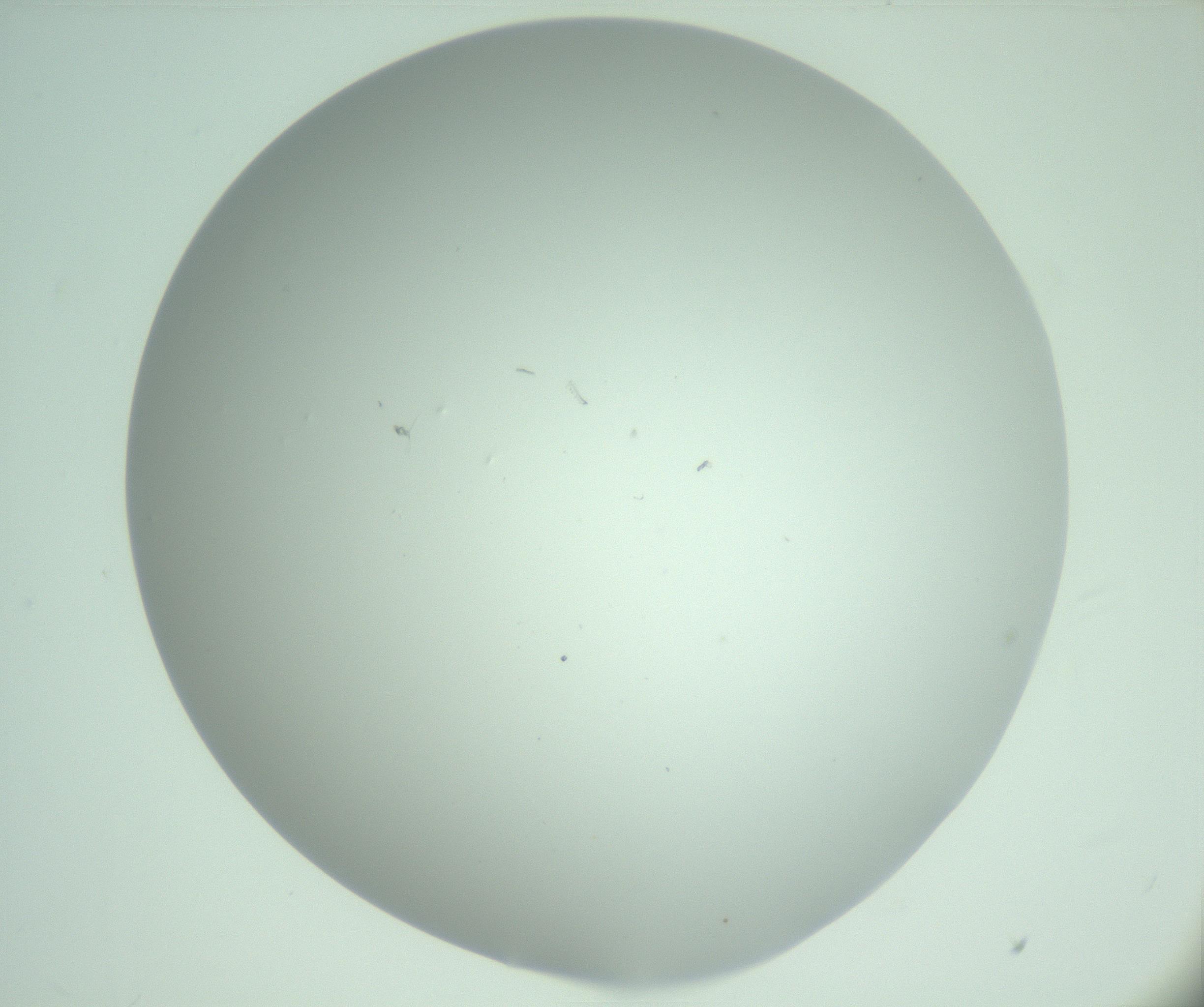 RI01_03_000_0212_Proj1_Clon1_MC_0000MC103220_002_170125_10_01_02_00_99_002_001_RAI.jpg