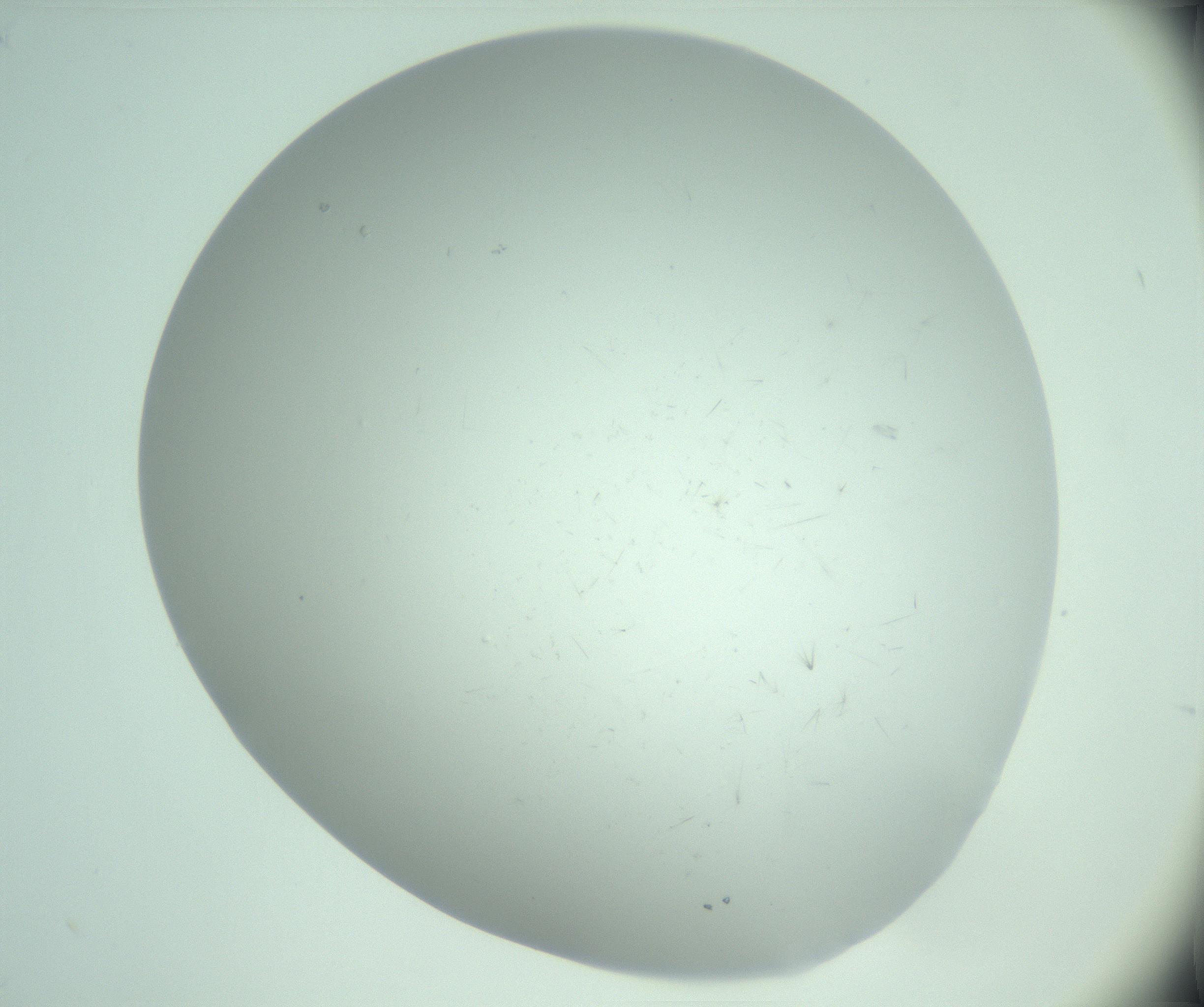 RI01_03_000_0212_Proj1_Clon1_MC_0000MC103220_003_170127_02_01_02_00_99_002_001_RAI.jpg
