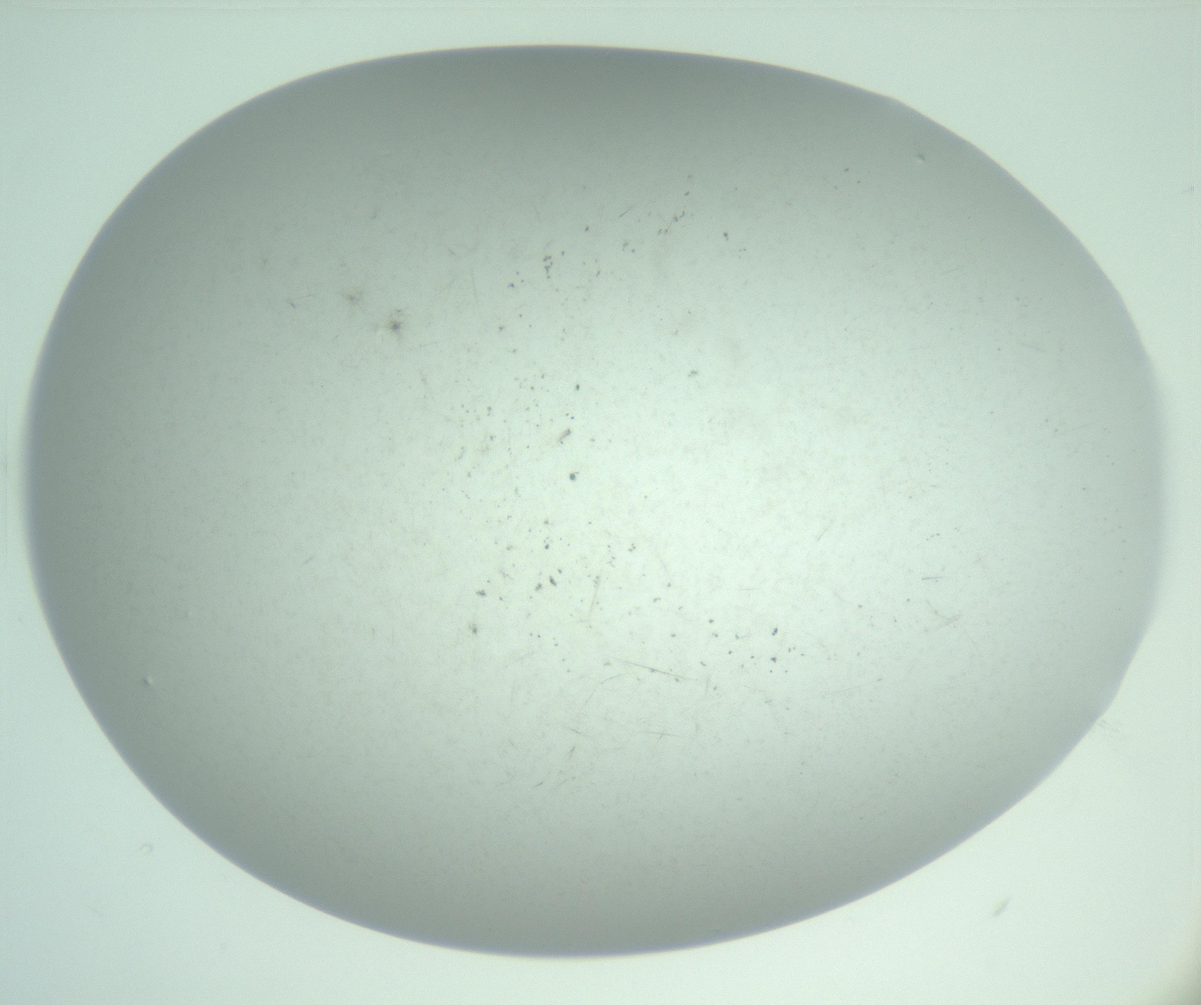 RI01_03_000_0212_Proj1_Clon1_MC_0000MC103220_003_170127_02_02_02_00_99_002_001_RAI.jpg