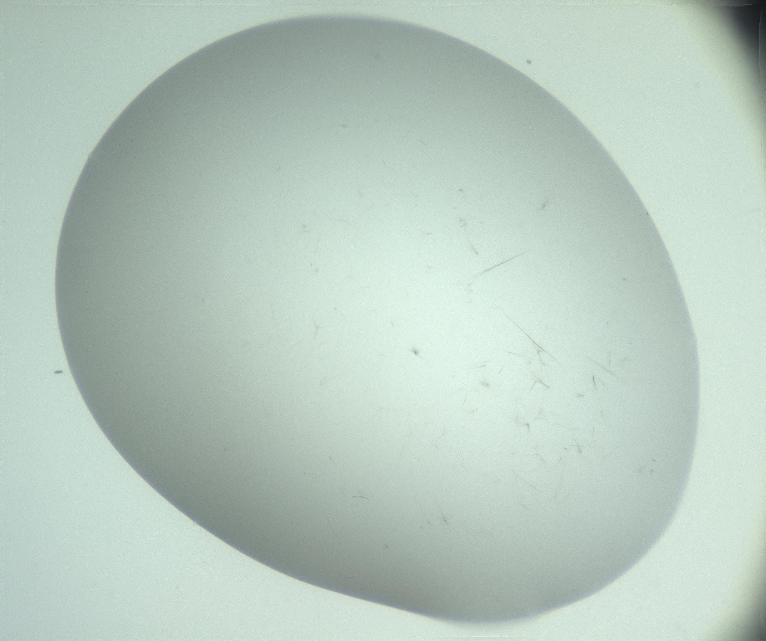 RI01_03_000_0212_Proj1_Clon1_MC_0000MC103220_003_170127_02_04_02_00_99_002_001_RAI.jpg