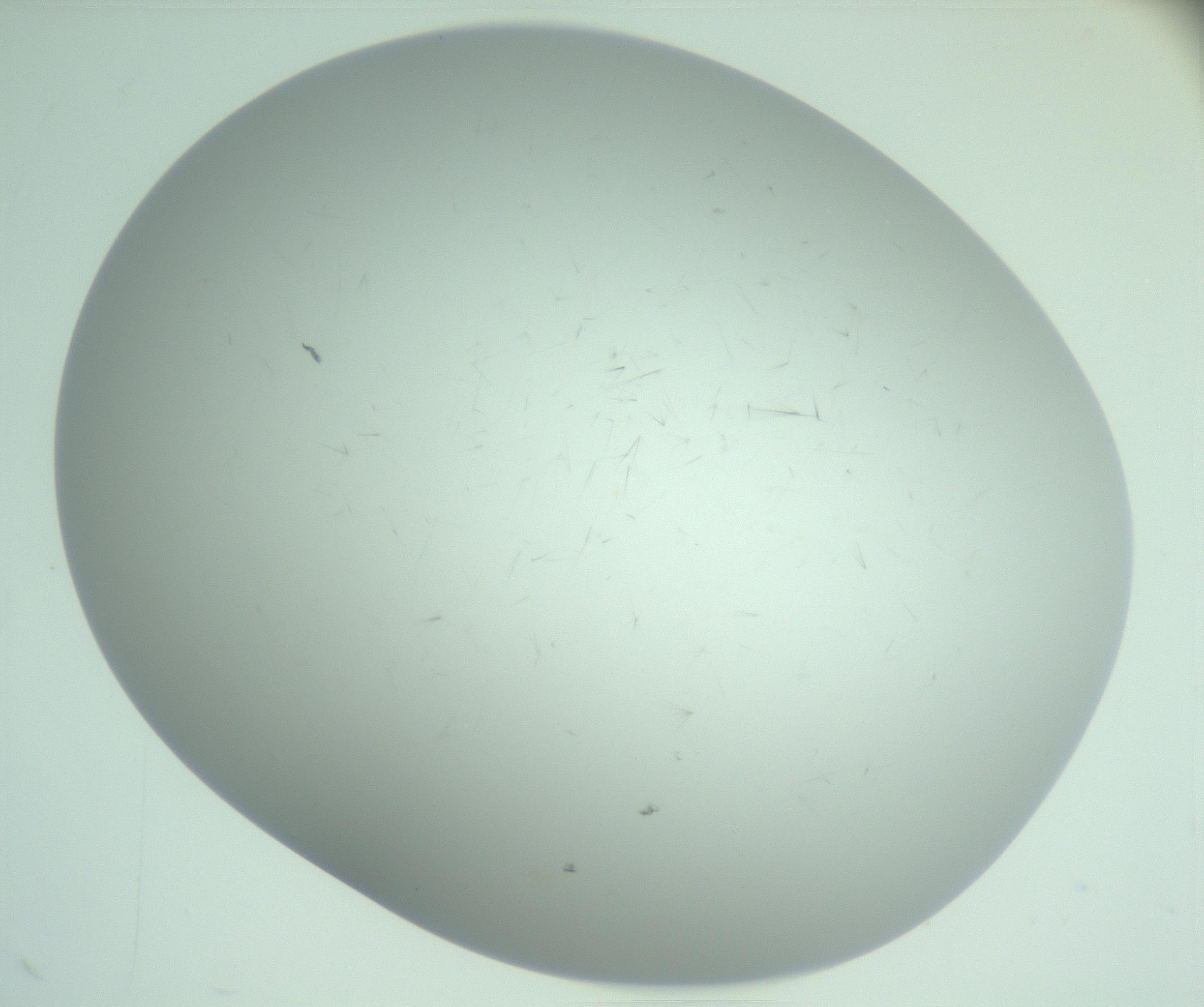 RI01_03_000_0212_Proj1_Clon1_MC_0000MC103220_003_170127_02_05_02_00_99_002_001_RAI.jpg