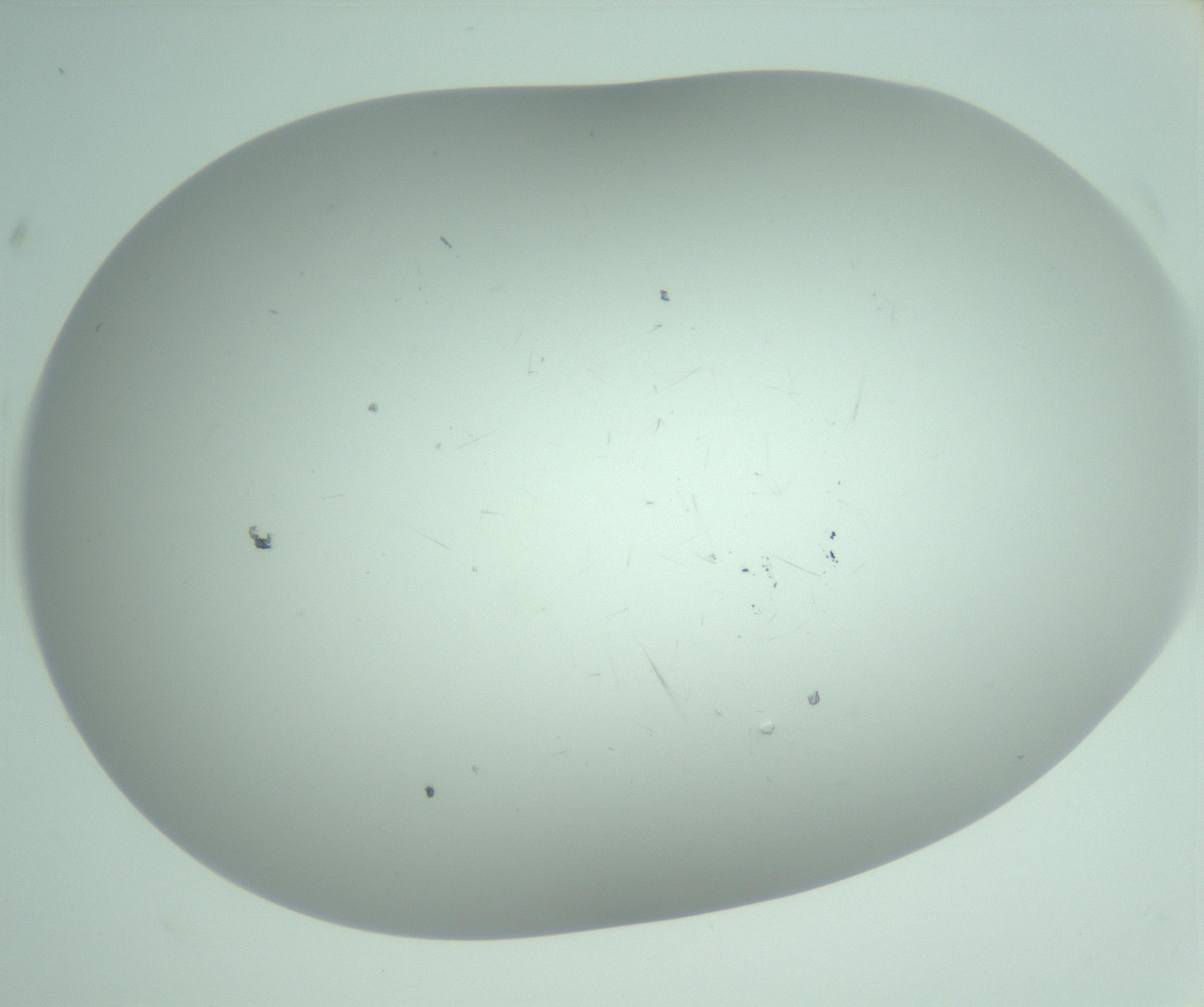 RI01_03_000_0212_Proj1_Clon1_MC_0000MC103220_003_170127_02_07_02_00_99_002_001_RAI.jpg