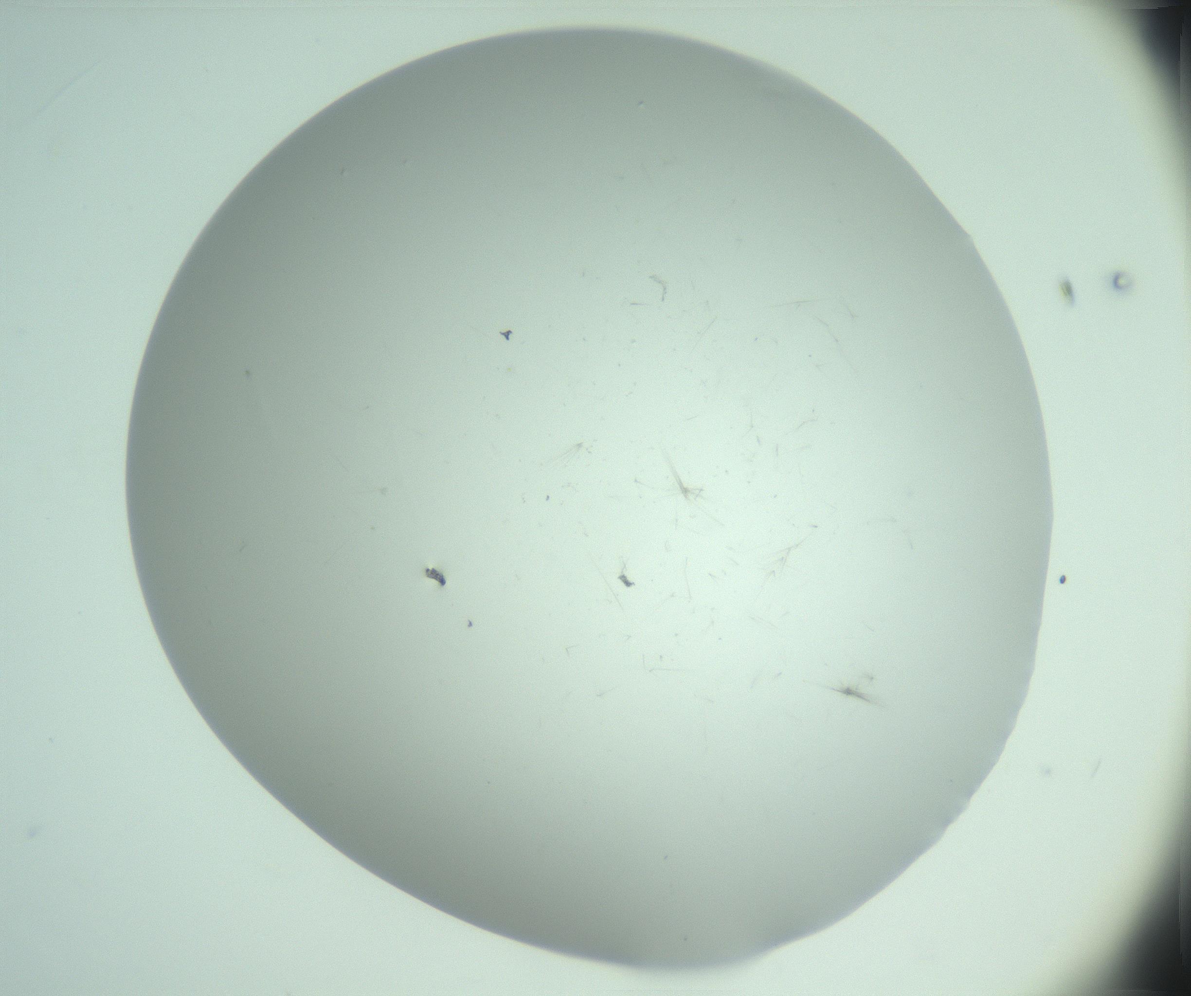 RI01_03_000_0212_Proj1_Clon1_MC_0000MC103220_003_170127_03_01_02_00_99_002_001_RAI.jpg