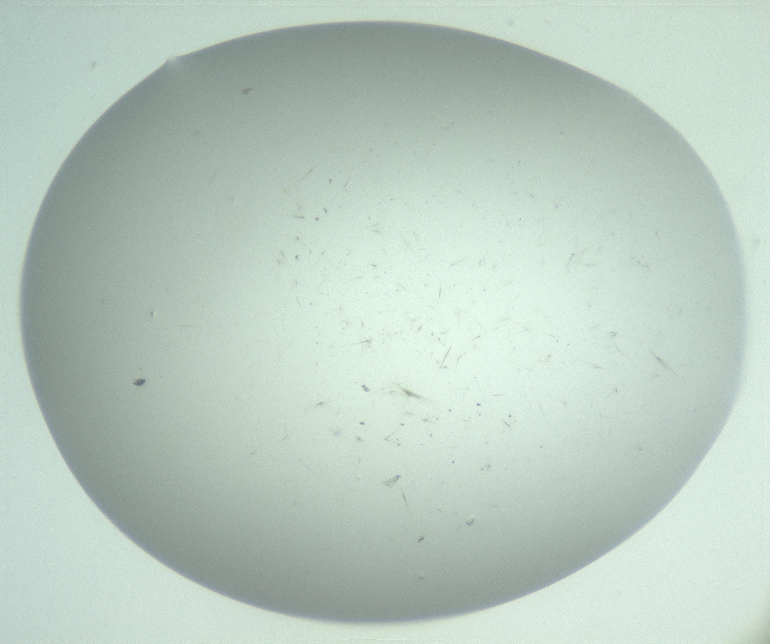 RI01_03_000_0212_Proj1_Clon1_MC_0000MC103220_003_170127_03_02_02_00_99_002_001_RAI.jpg