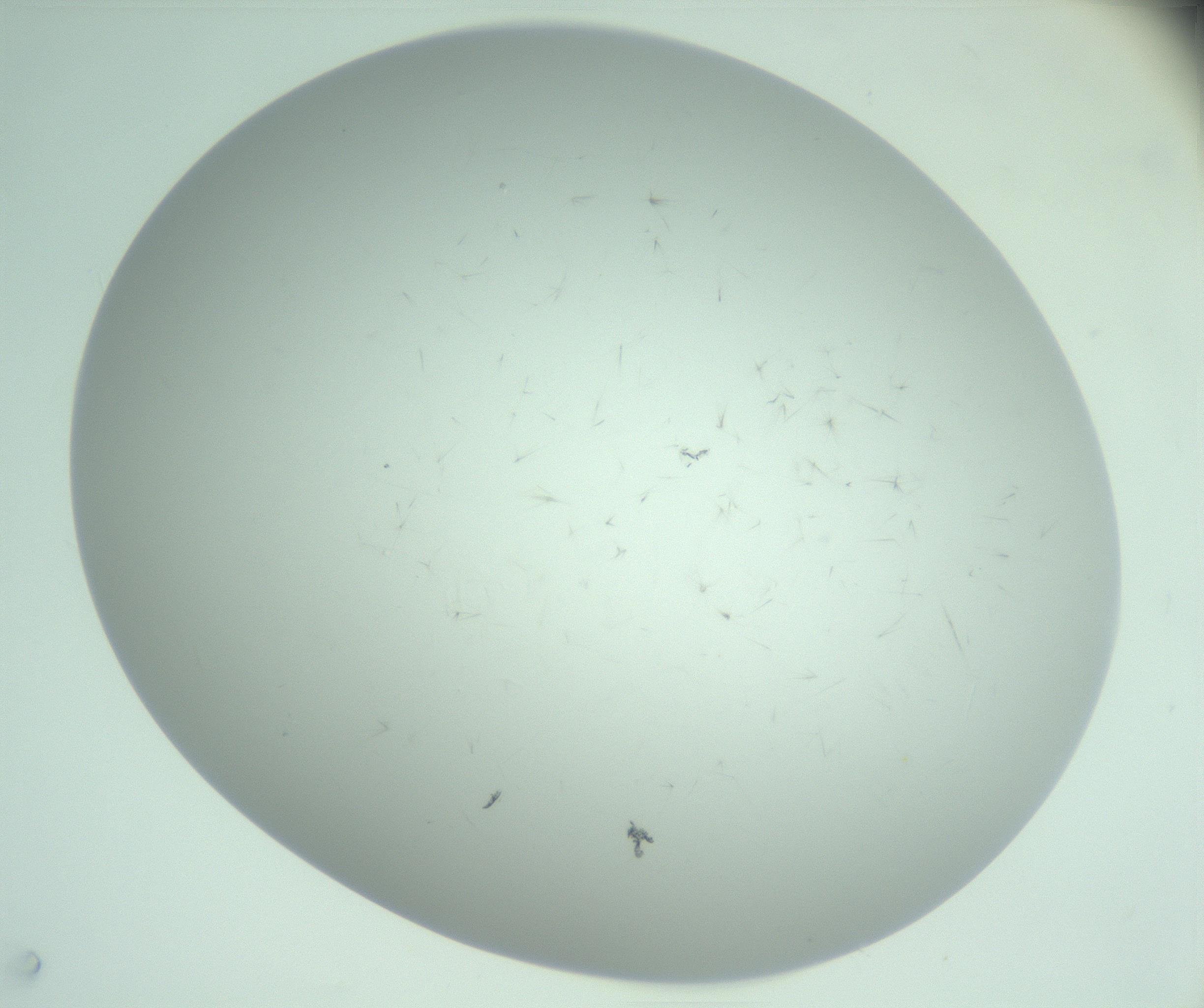 RI01_03_000_0212_Proj1_Clon1_MC_0000MC103220_003_170127_03_05_02_00_99_002_001_RAI.jpg