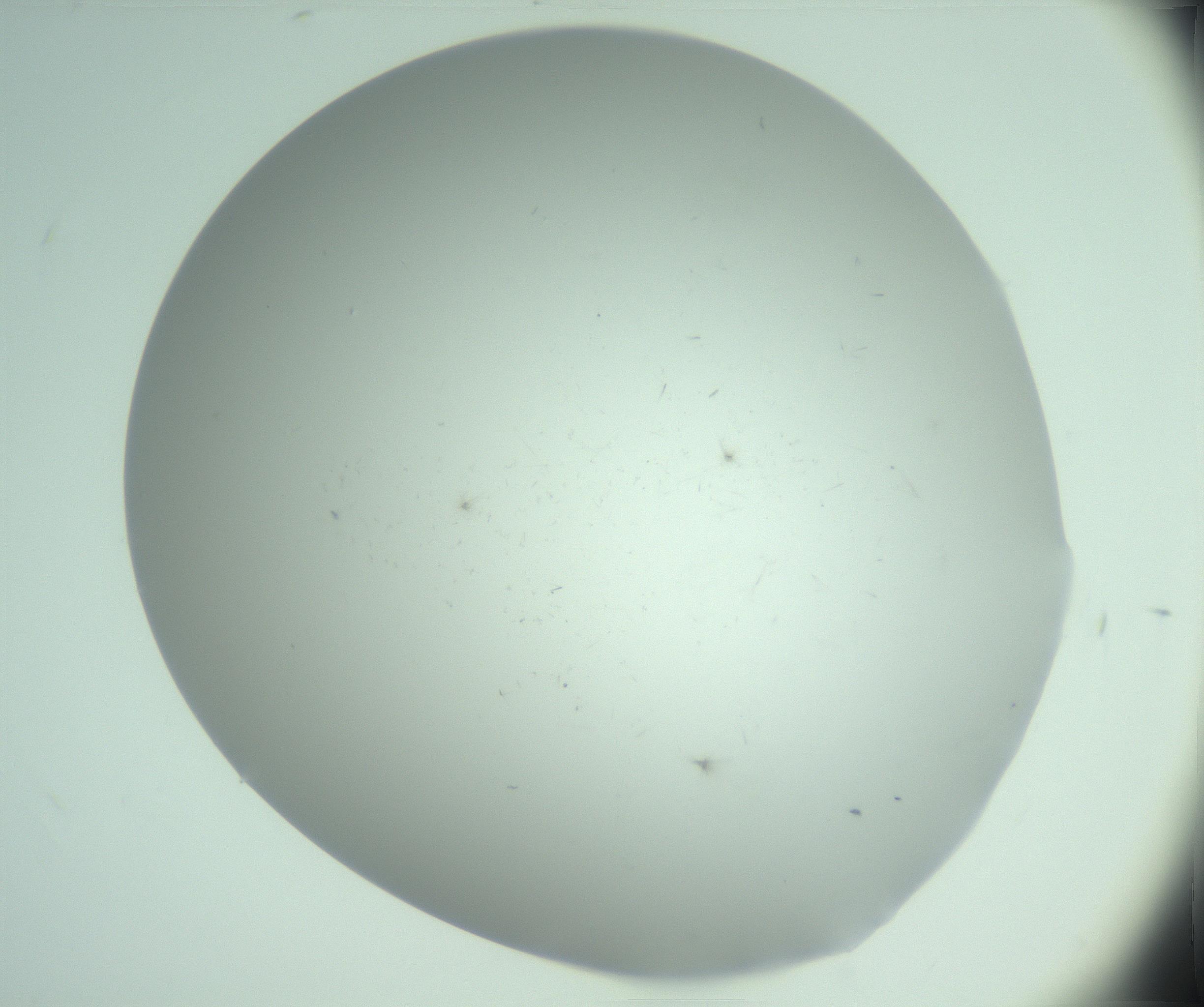 RI01_03_000_0212_Proj1_Clon1_MC_0000MC103220_003_170127_04_01_02_00_99_002_001_RAI.jpg