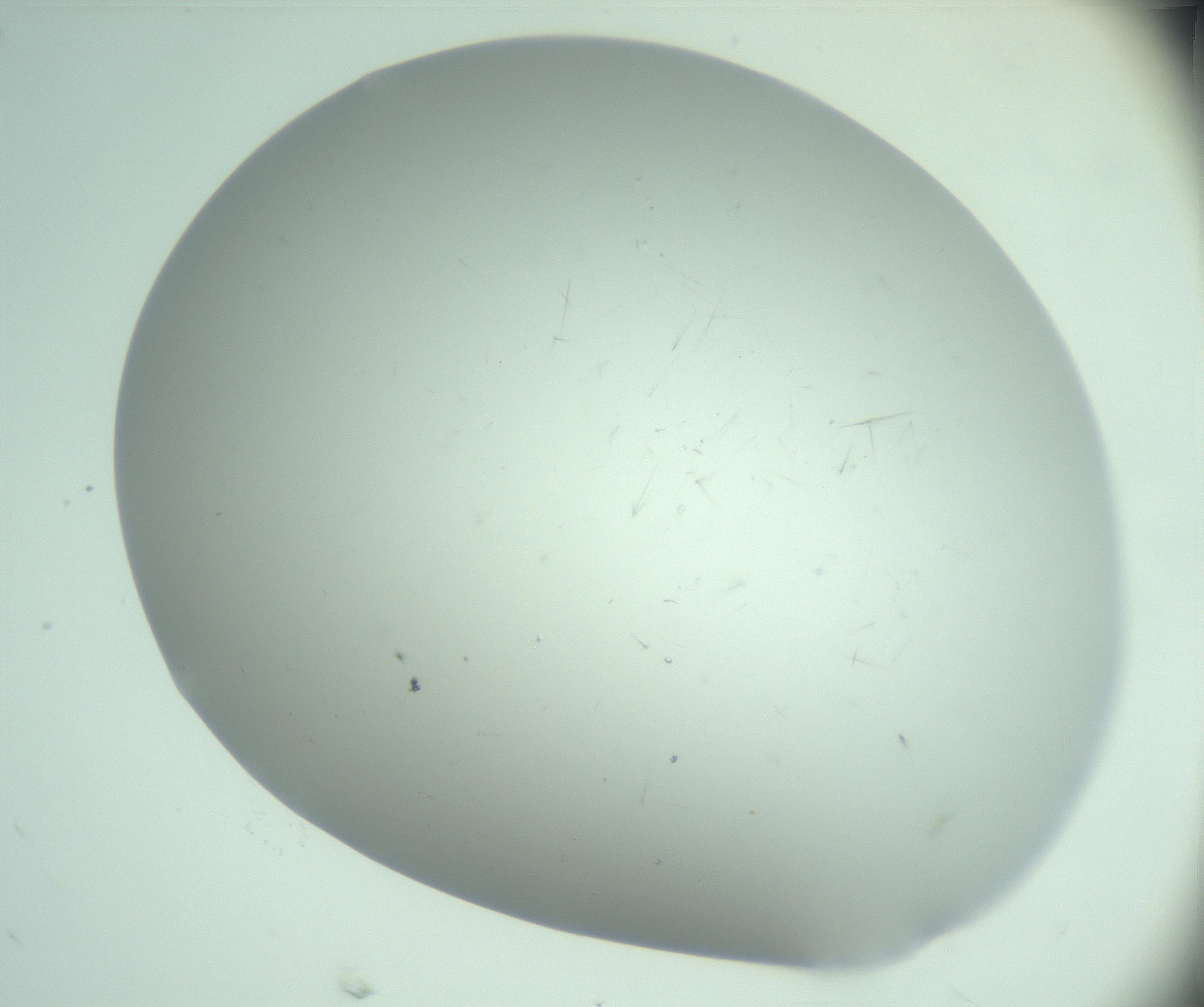 RI01_03_000_0212_Proj1_Clon1_MC_0000MC103220_003_170127_04_04_02_00_99_002_001_RAI.jpg