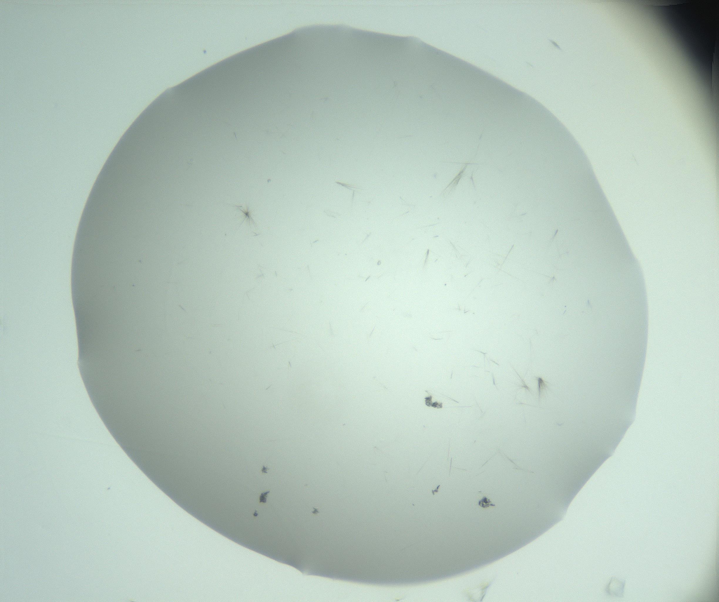 RI01_03_000_0212_Proj1_Clon1_MC_0000MC103220_003_170127_04_05_02_00_99_002_001_RAI.jpg