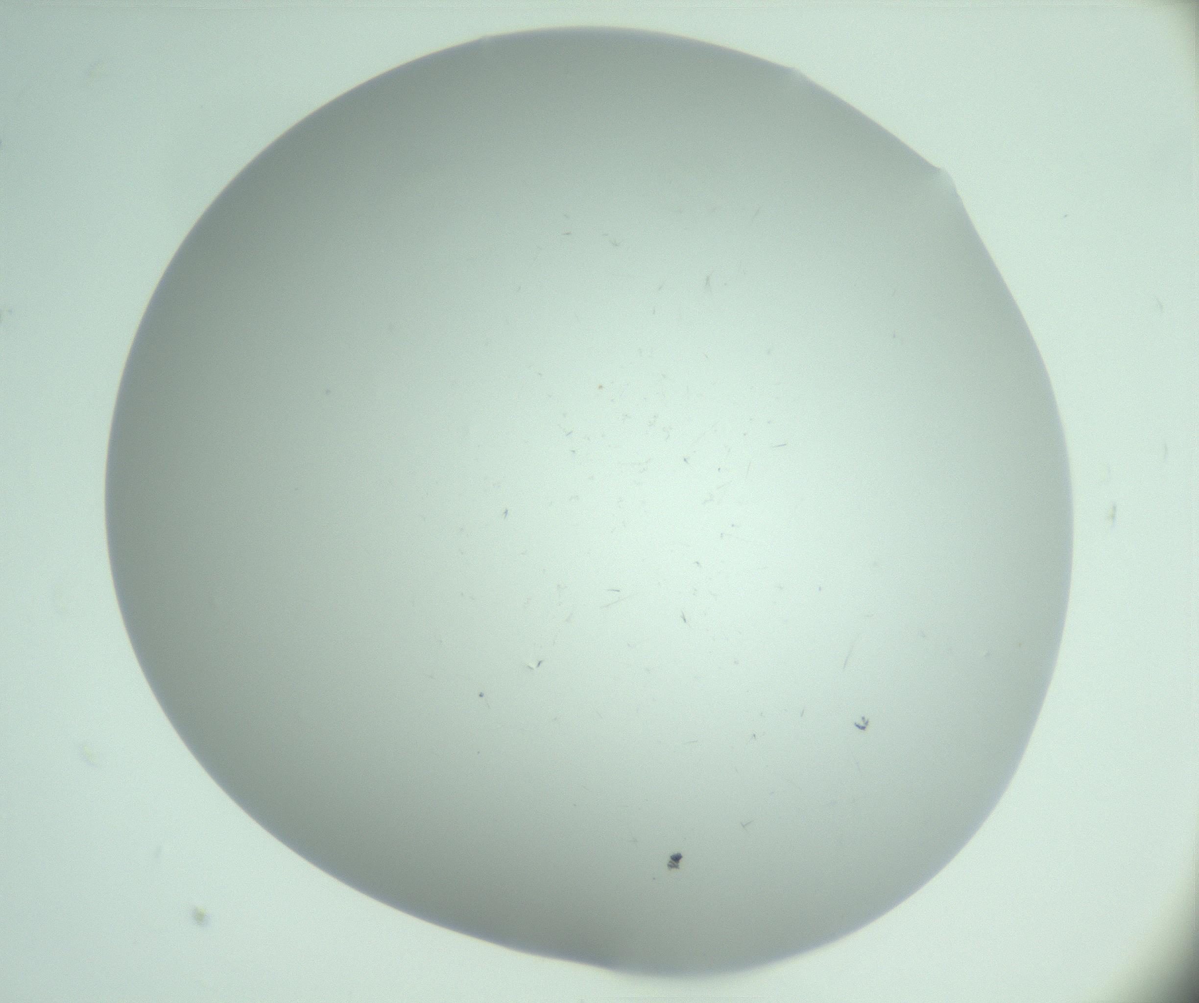 RI01_03_000_0212_Proj1_Clon1_MC_0000MC103220_003_170127_05_01_02_00_99_002_001_RAI.jpg