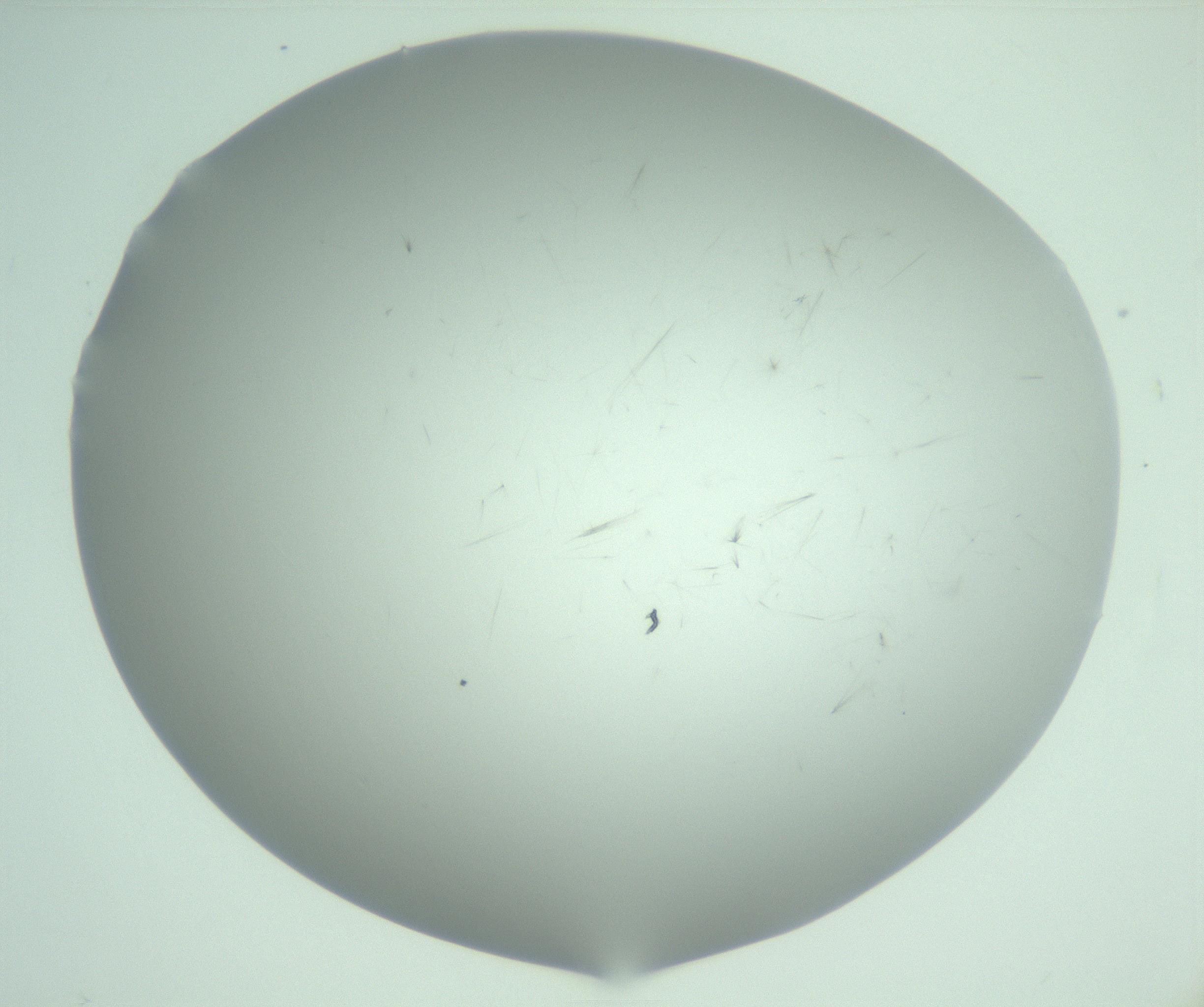 RI01_03_000_0212_Proj1_Clon1_MC_0000MC103220_003_170127_05_02_02_00_99_002_001_RAI.jpg
