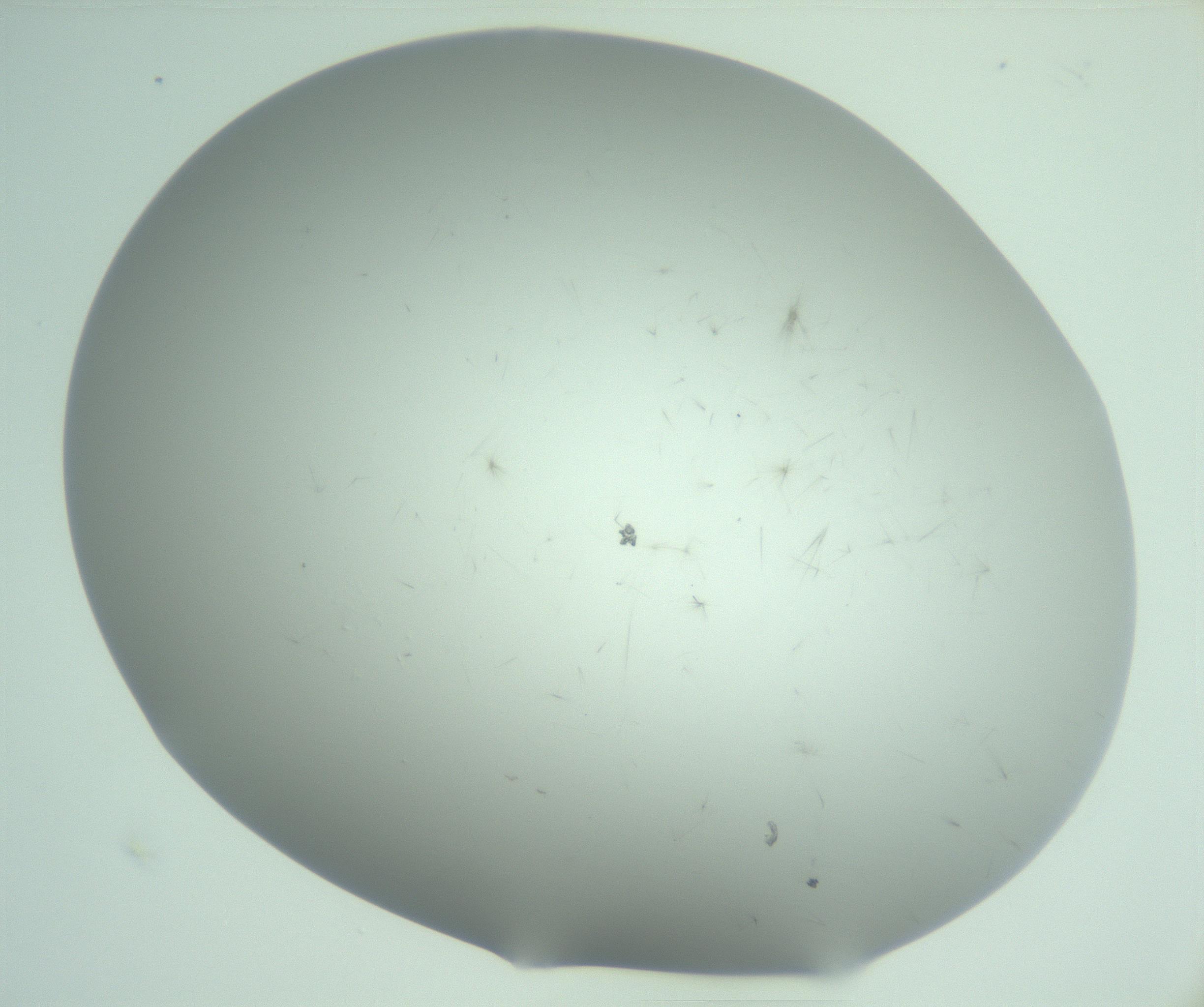 RI01_03_000_0212_Proj1_Clon1_MC_0000MC103220_003_170127_05_03_02_00_99_002_001_RAI.jpg