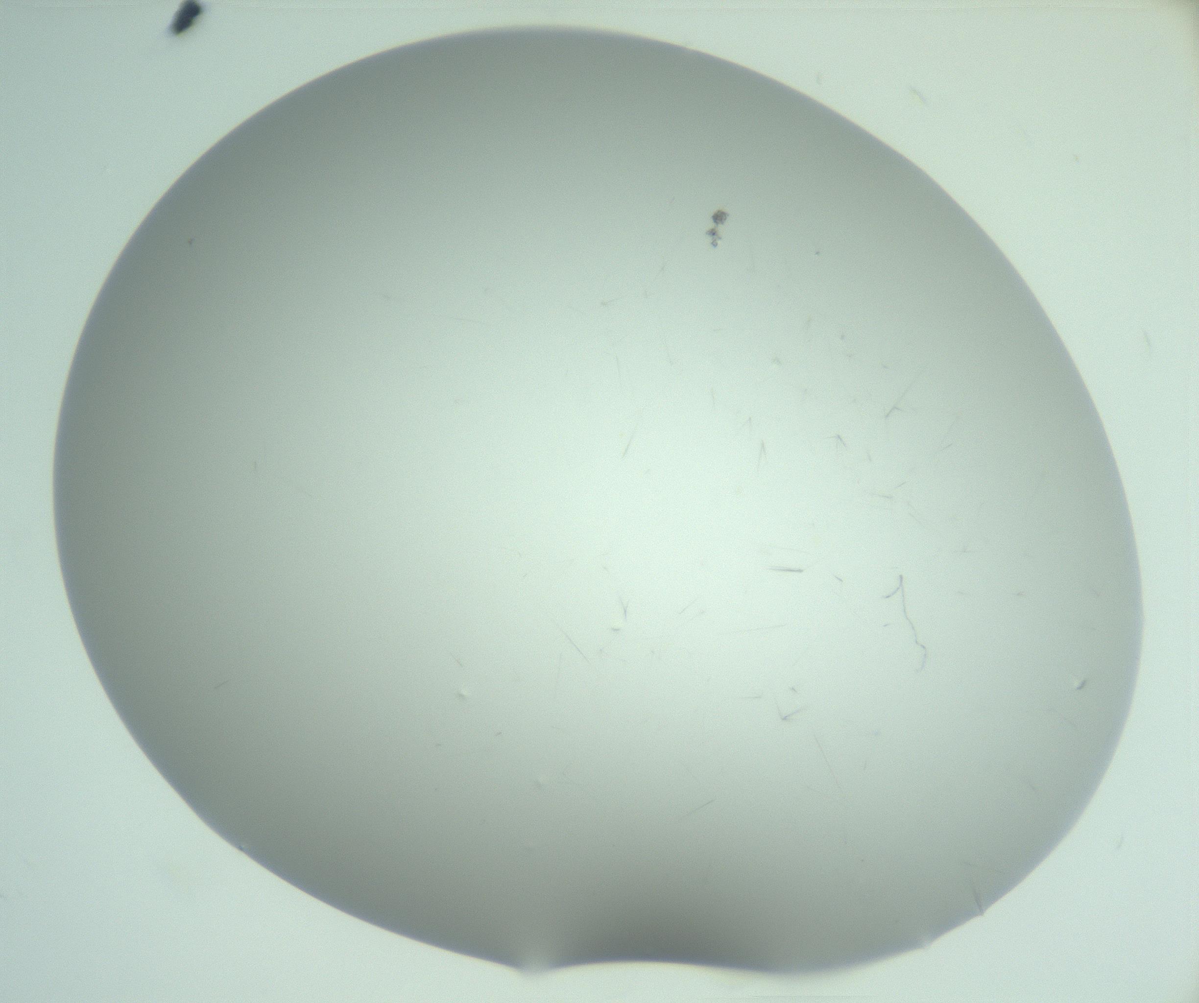 RI01_03_000_0212_Proj1_Clon1_MC_0000MC103220_003_170127_05_04_02_00_99_002_001_RAI.jpg