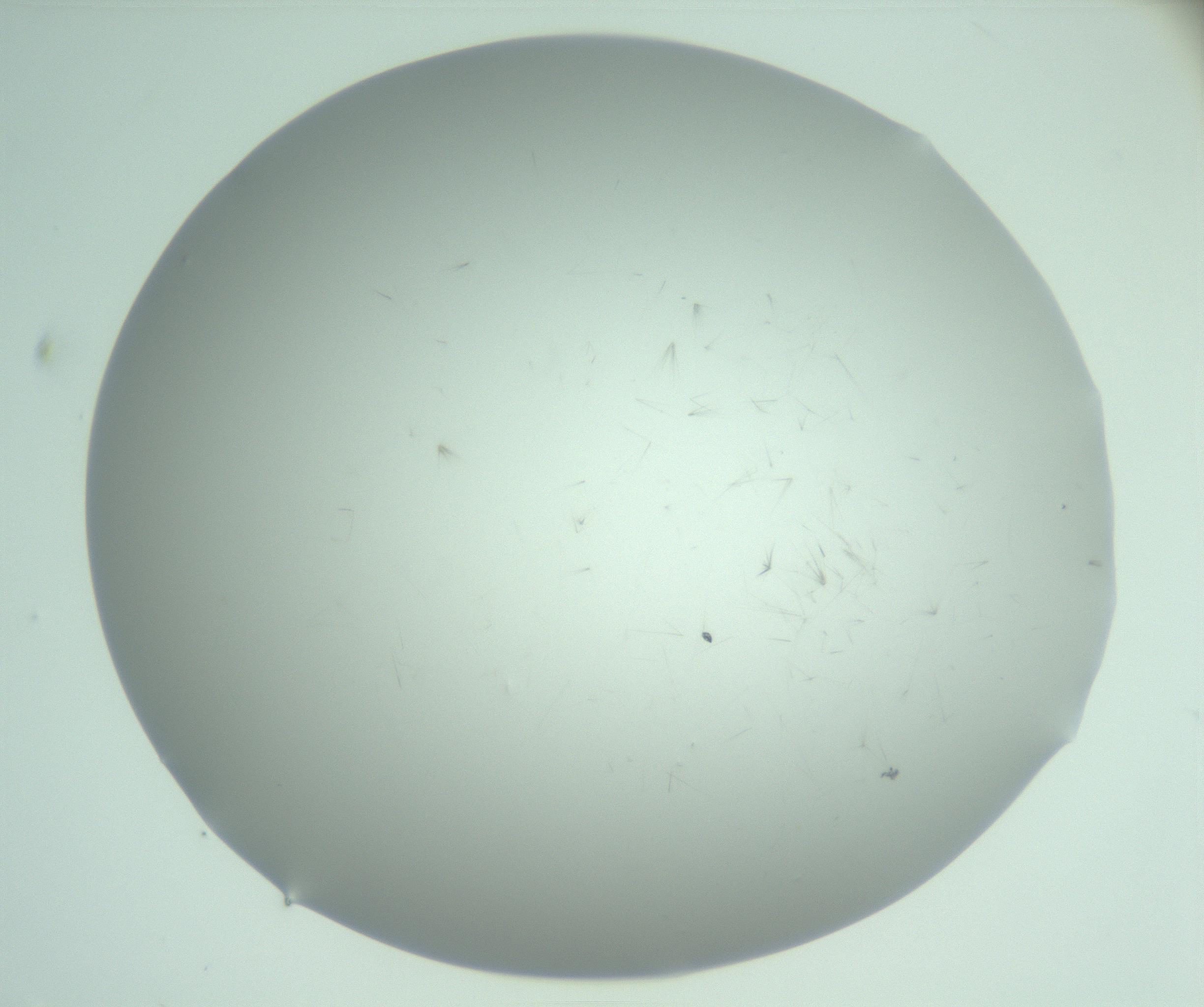 RI01_03_000_0212_Proj1_Clon1_MC_0000MC103220_003_170127_05_05_02_00_99_002_001_RAI.jpg
