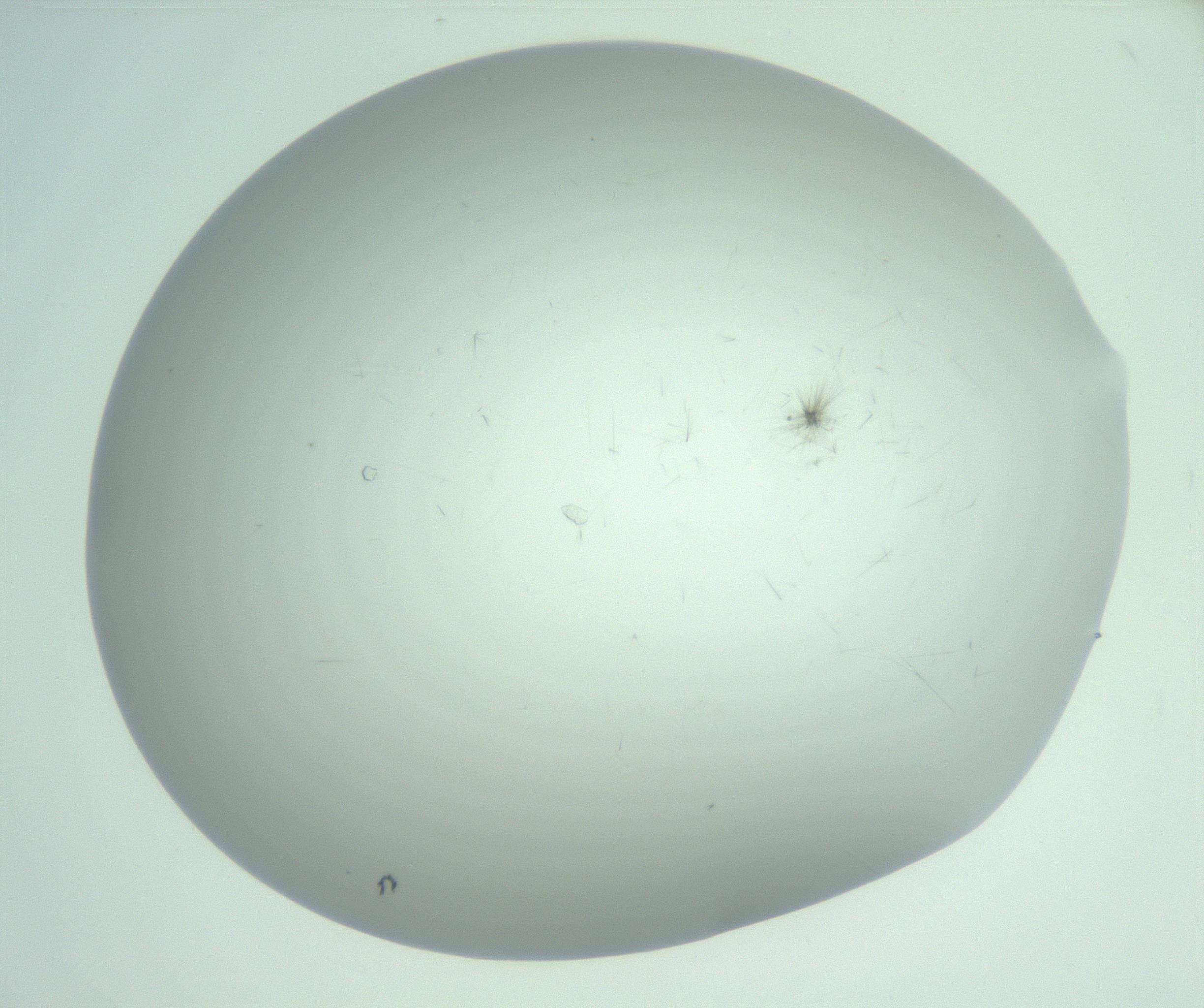 RI01_03_000_0212_Proj1_Clon1_MC_0000MC103220_003_170127_05_08_02_00_99_002_001_RAI.jpg