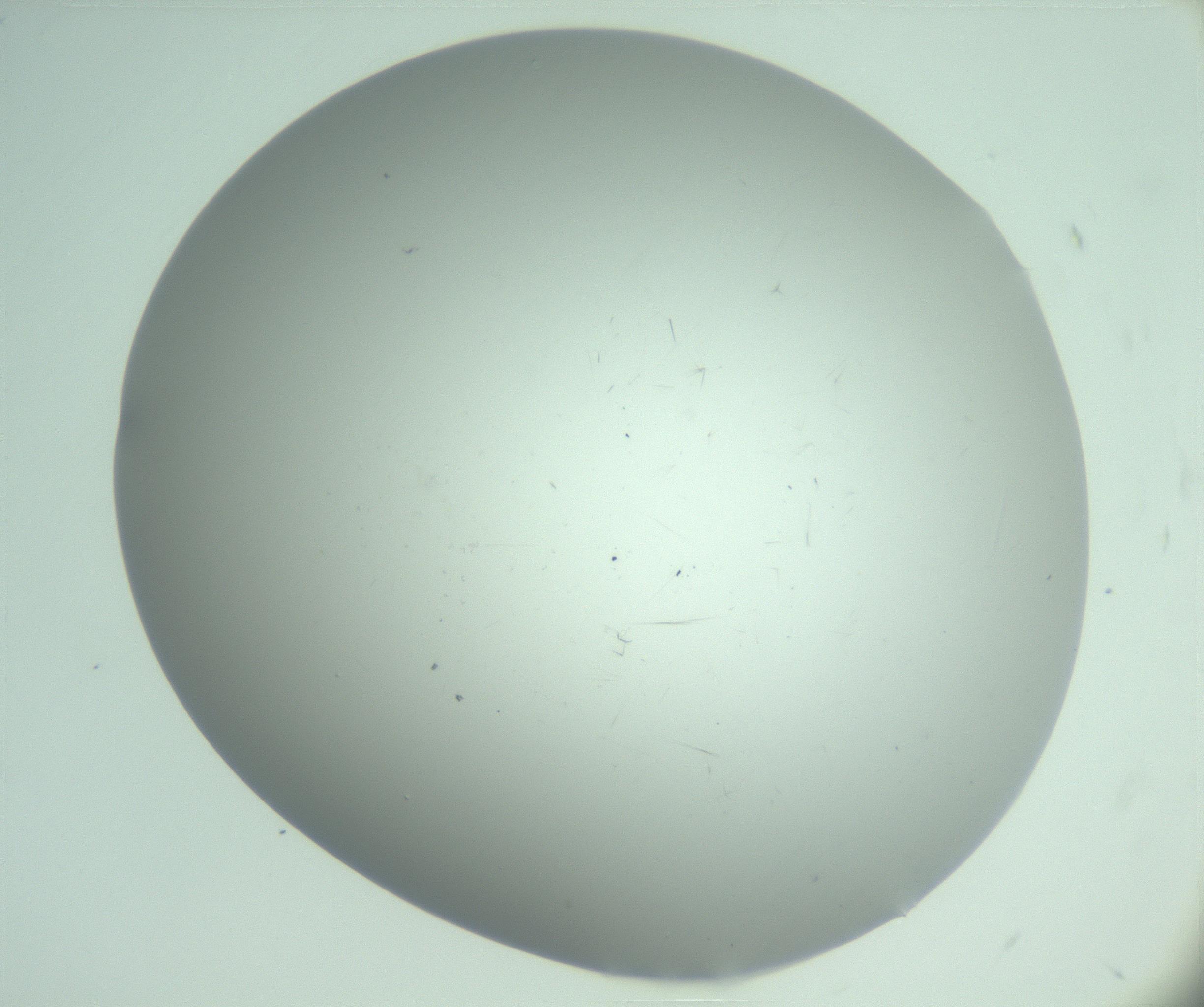 RI01_03_000_0212_Proj1_Clon1_MC_0000MC103220_003_170127_06_01_02_00_99_002_001_RAI.jpg