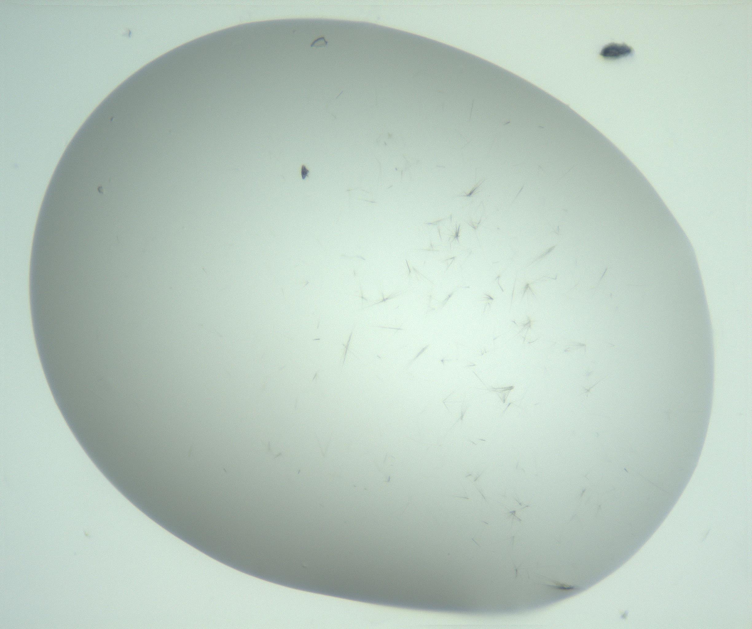 RI01_03_000_0212_Proj1_Clon1_MC_0000MC103220_003_170127_06_03_02_00_99_002_001_RAI.jpg