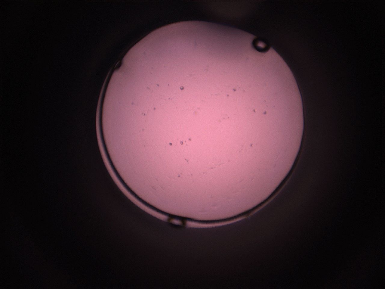 05i5_K7_ImagerDefaults_9.jpg