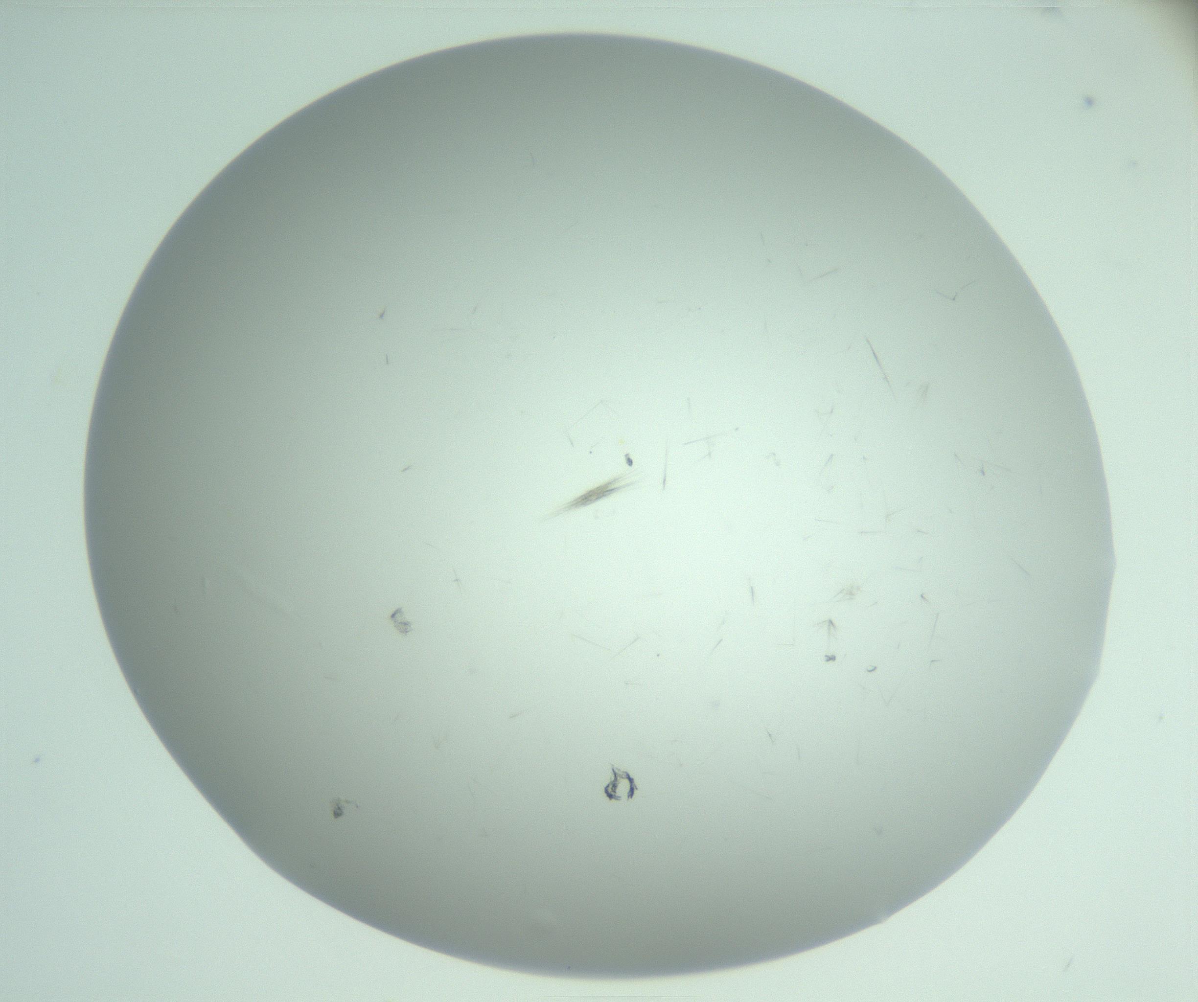 RI01_03_000_0212_Proj1_Clon1_MC_0000MC103220_003_170127_06_05_02_00_99_002_001_RAI.jpg