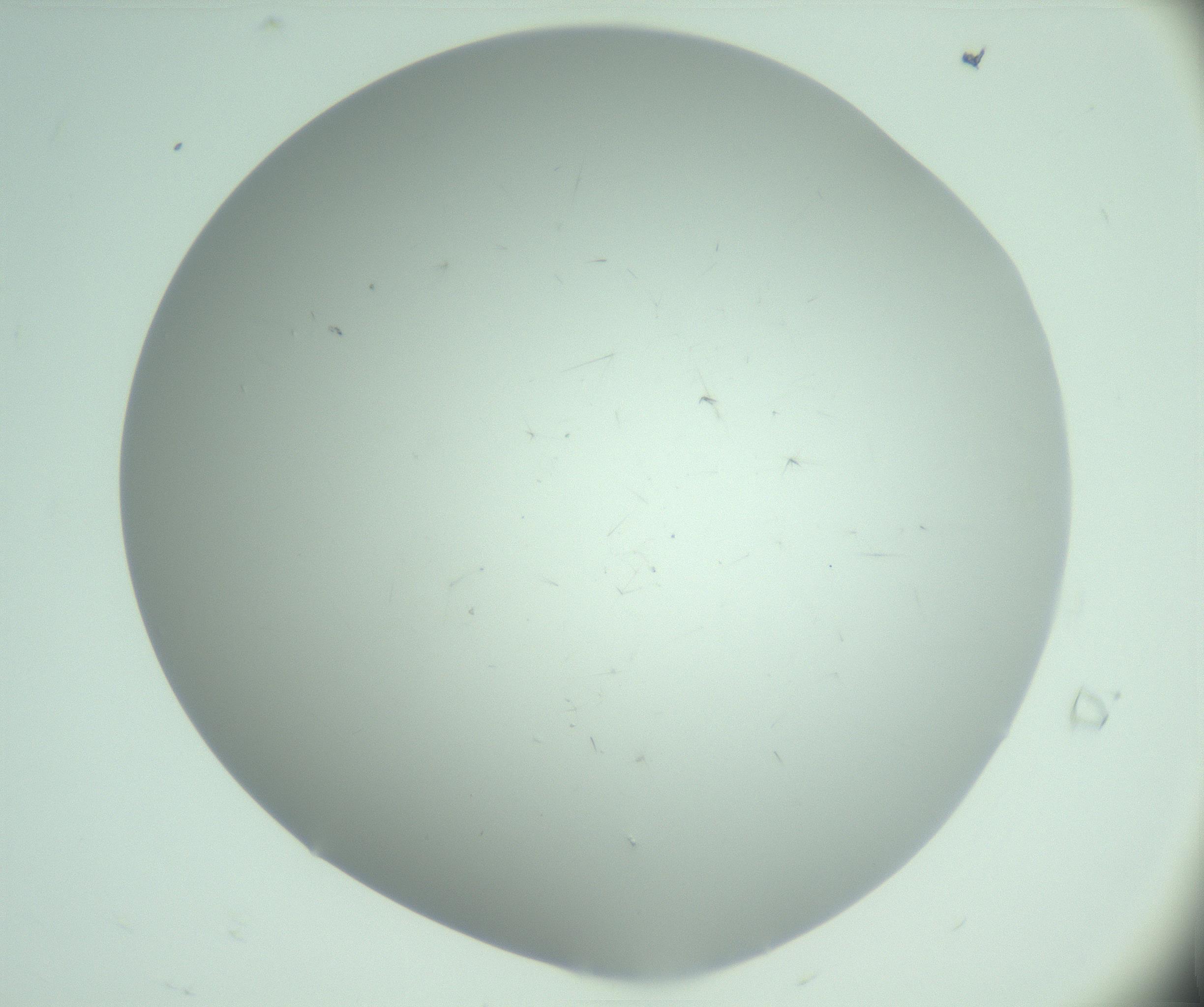 RI01_03_000_0212_Proj1_Clon1_MC_0000MC103220_003_170127_07_01_02_00_99_002_001_RAI.jpg