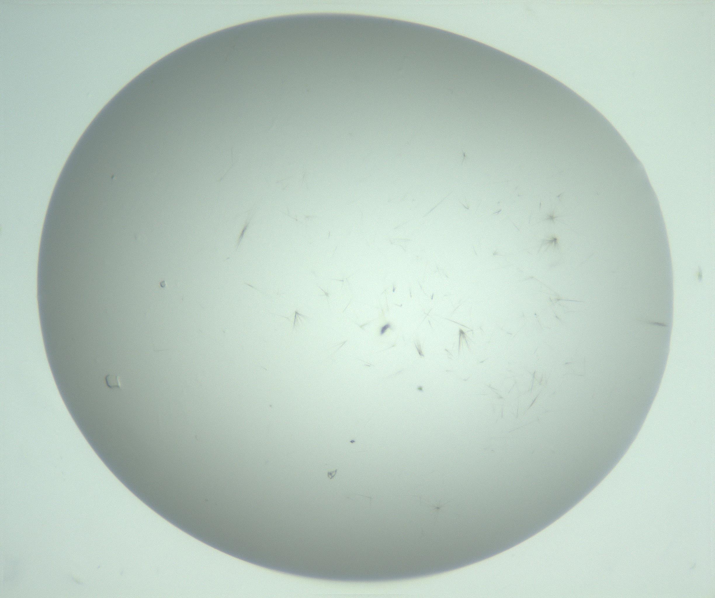 RI01_03_000_0212_Proj1_Clon1_MC_0000MC103220_003_170127_07_02_02_00_99_002_001_RAI.jpg