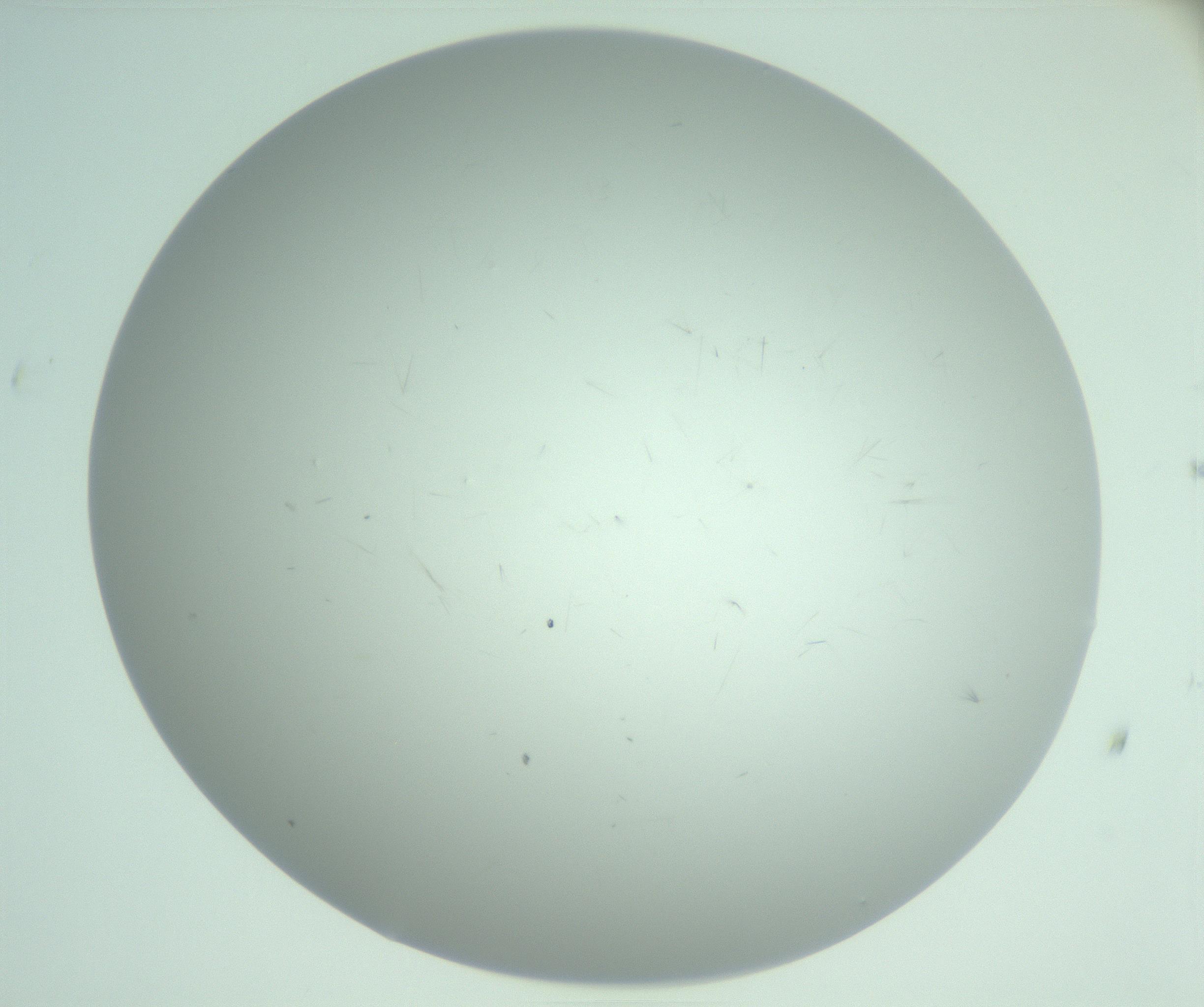 RI01_03_000_0212_Proj1_Clon1_MC_0000MC103220_003_170127_07_05_02_00_99_002_001_RAI.jpg