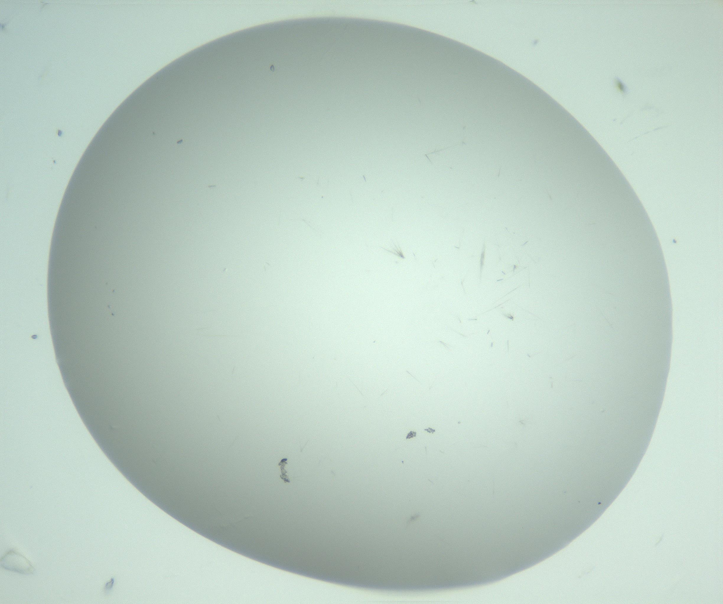 RI01_03_000_0212_Proj1_Clon1_MC_0000MC103220_003_170127_07_06_02_00_99_002_001_RAI.jpg