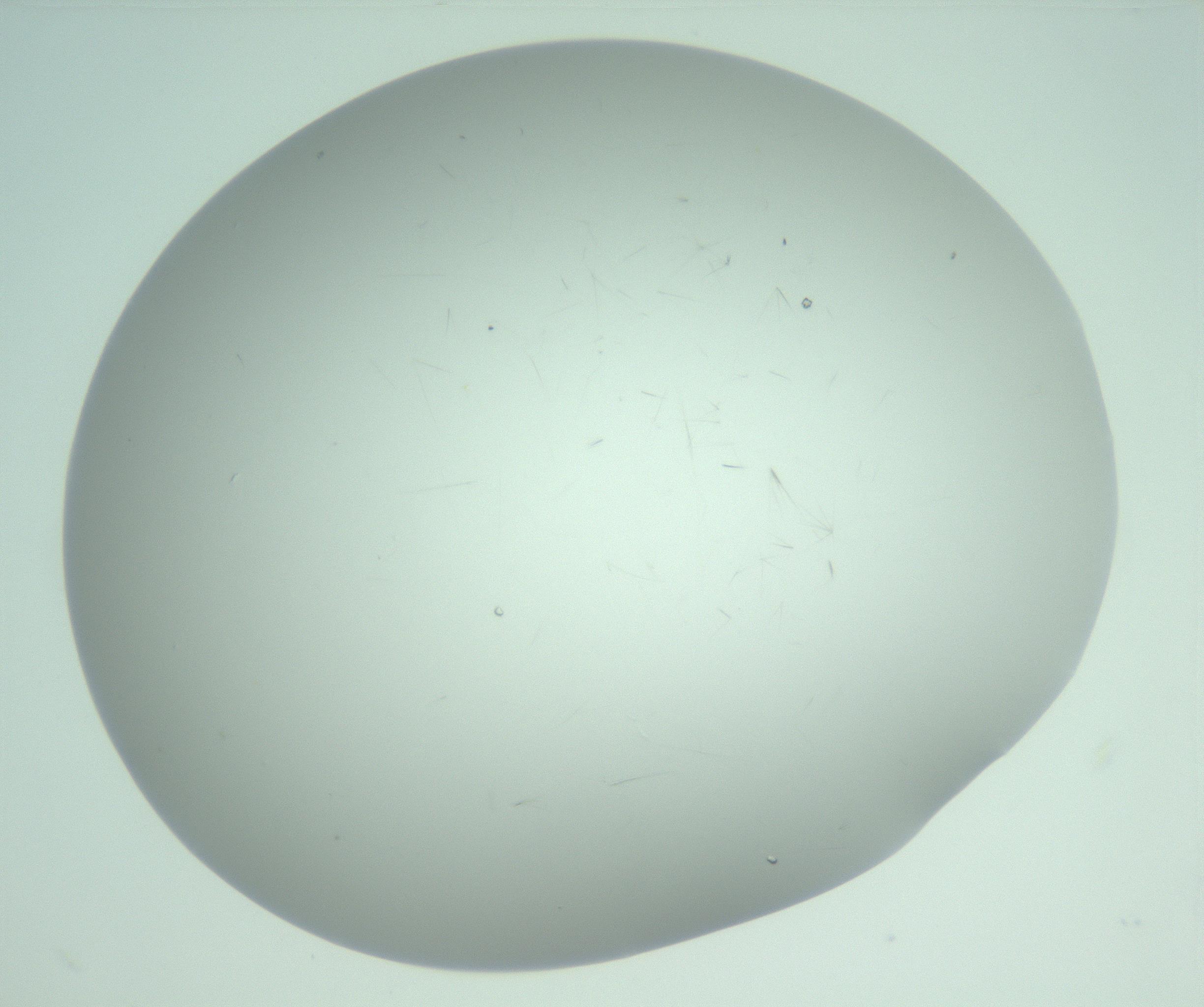 RI01_03_000_0212_Proj1_Clon1_MC_0000MC103220_003_170127_07_07_02_00_99_002_001_RAI.jpg