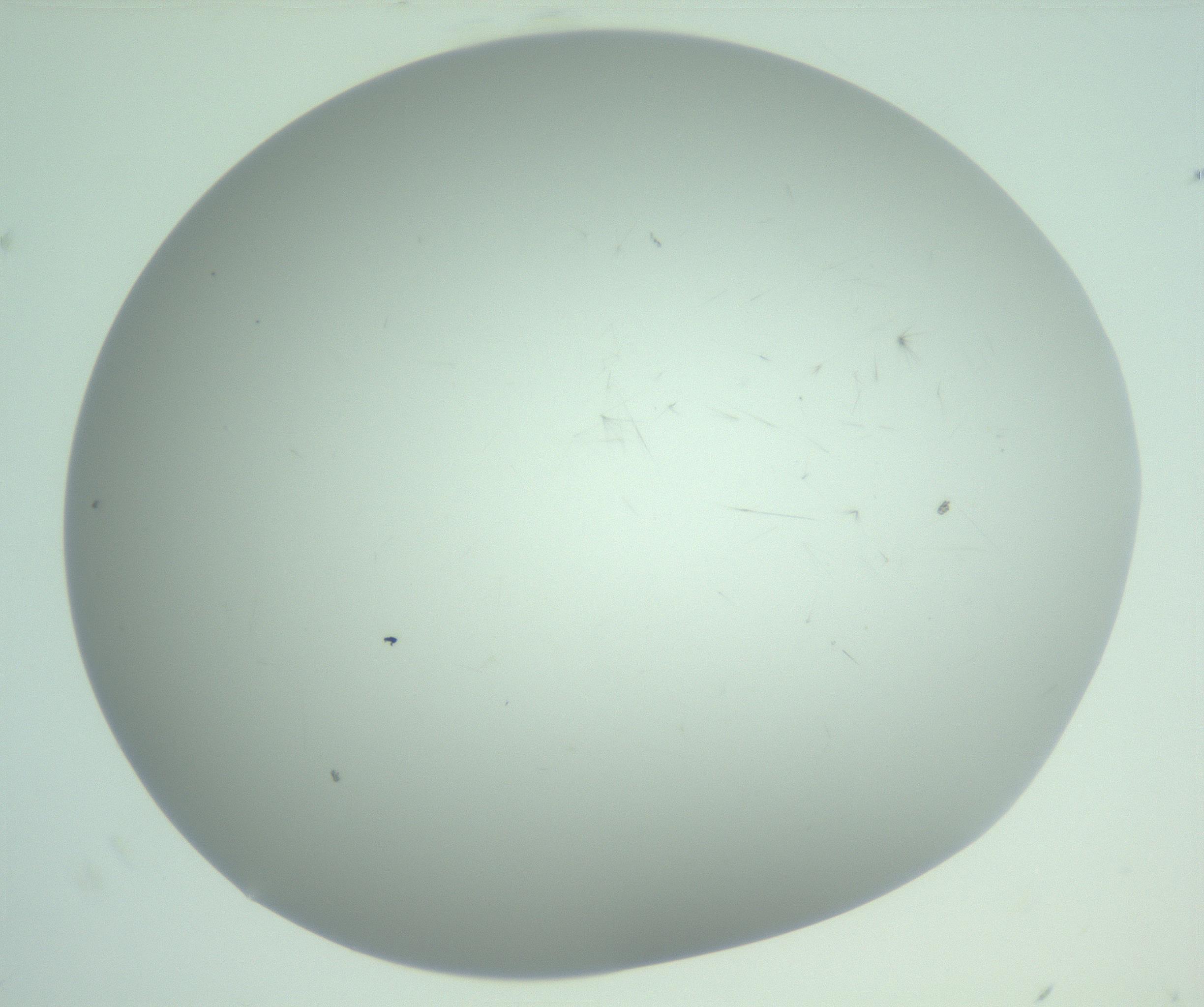 RI01_03_000_0212_Proj1_Clon1_MC_0000MC103220_003_170127_07_08_02_00_99_002_001_RAI.jpg