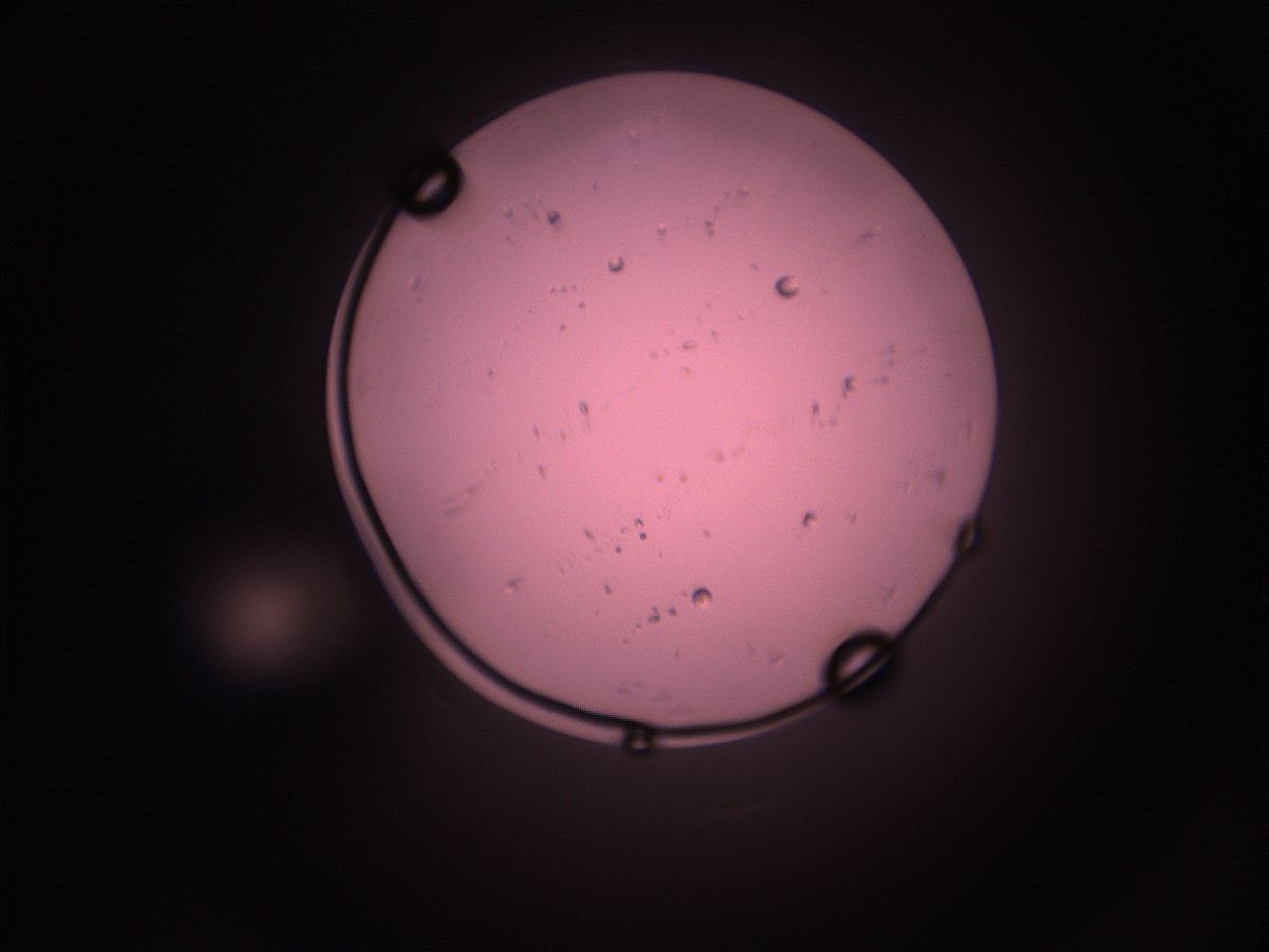 05i5_K8_ImagerDefaults_9.jpg