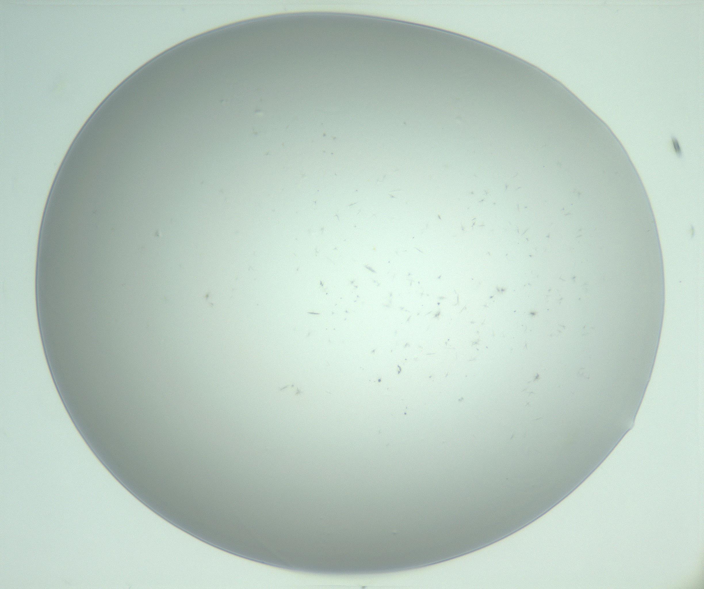 RI01_03_000_0212_Proj1_Clon1_MC_0000MC103220_003_170127_08_02_02_00_99_002_001_RAI.jpg