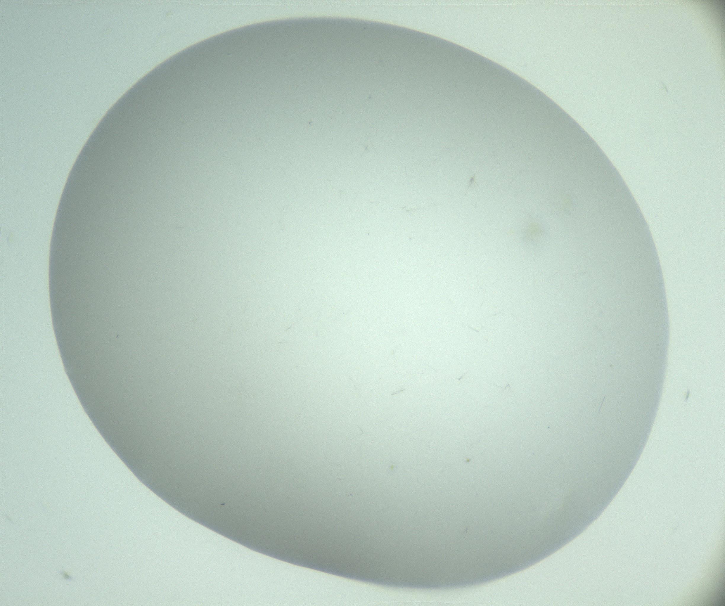 RI01_03_000_0212_Proj1_Clon1_MC_0000MC103220_003_170127_08_03_02_00_99_002_001_RAI.jpg