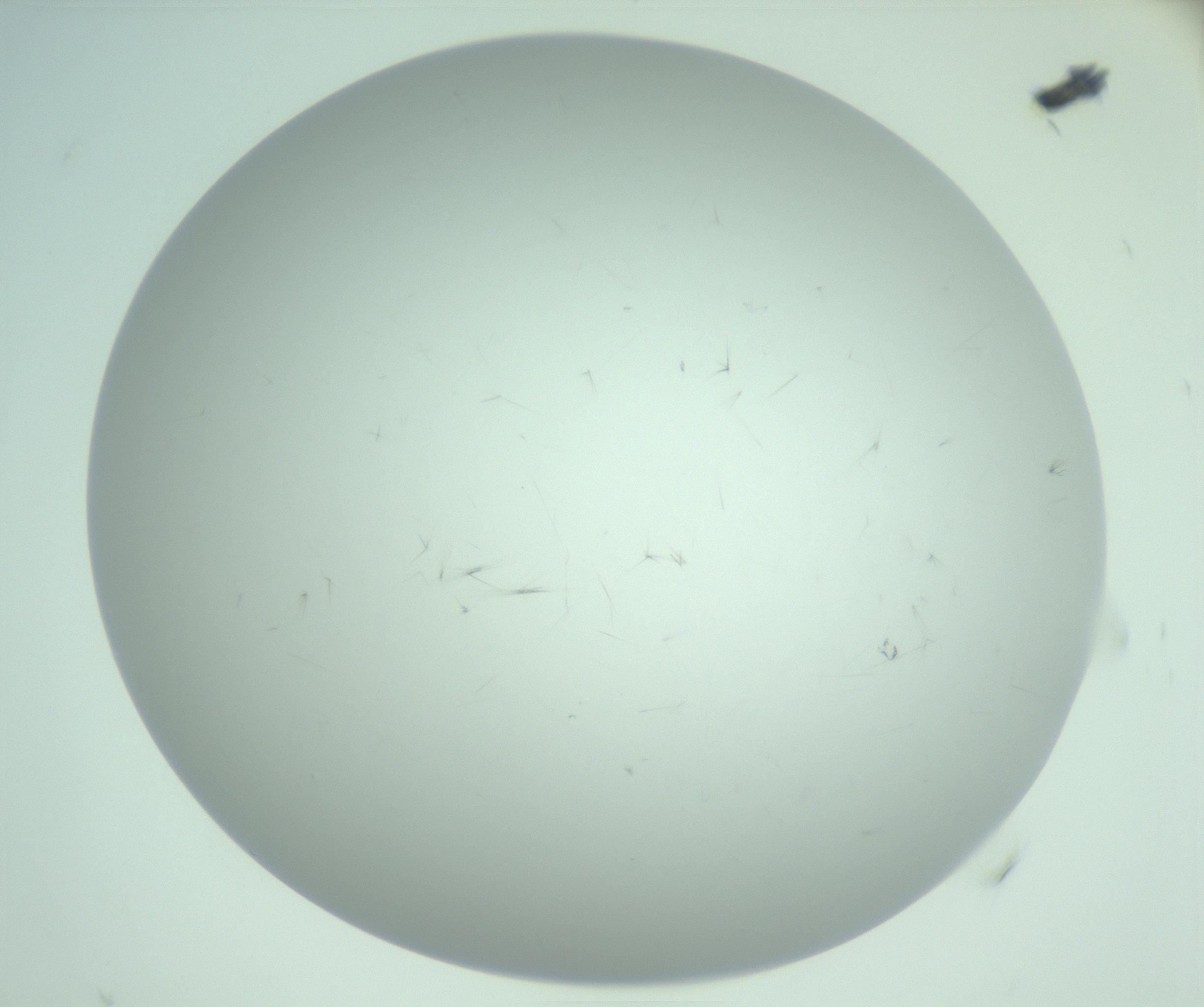 RI01_03_000_0212_Proj1_Clon1_MC_0000MC103220_003_170127_08_05_02_00_99_002_001_RAI.jpg
