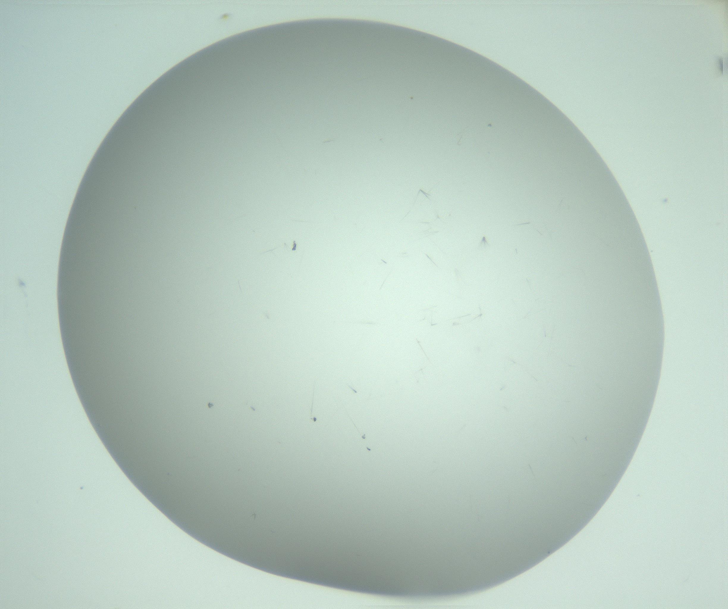 RI01_03_000_0212_Proj1_Clon1_MC_0000MC103220_003_170127_08_06_02_00_99_002_001_RAI.jpg