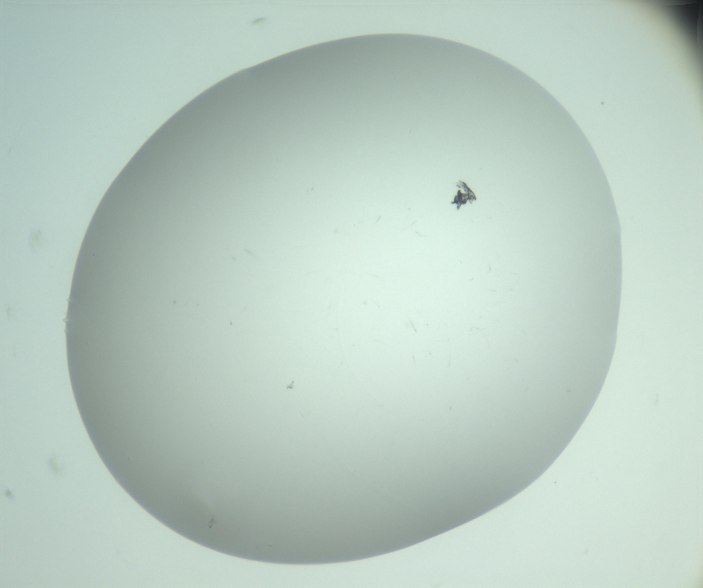 RI01_03_000_0212_Proj1_Clon1_MC_0000MC103220_003_170127_08_07_02_00_99_002_001_RAI.jpg