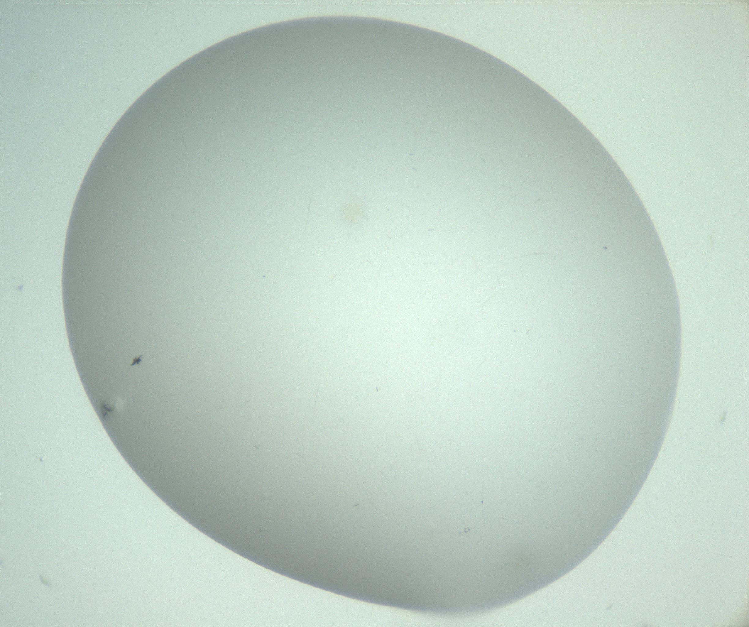 RI01_03_000_0212_Proj1_Clon1_MC_0000MC103220_003_170127_09_03_02_00_99_002_001_RAI.jpg