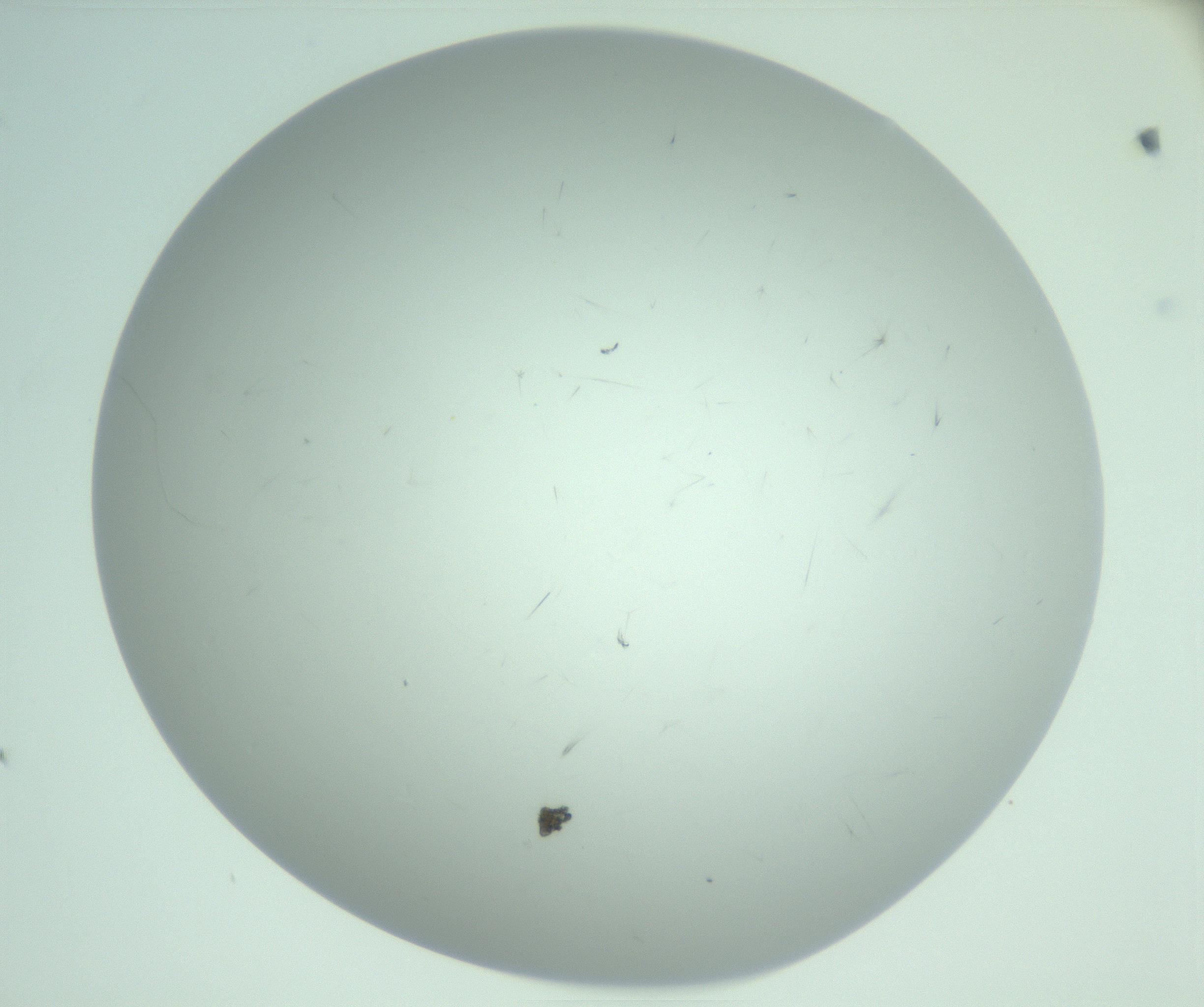 RI01_03_000_0212_Proj1_Clon1_MC_0000MC103220_003_170127_09_05_02_00_99_002_001_RAI.jpg